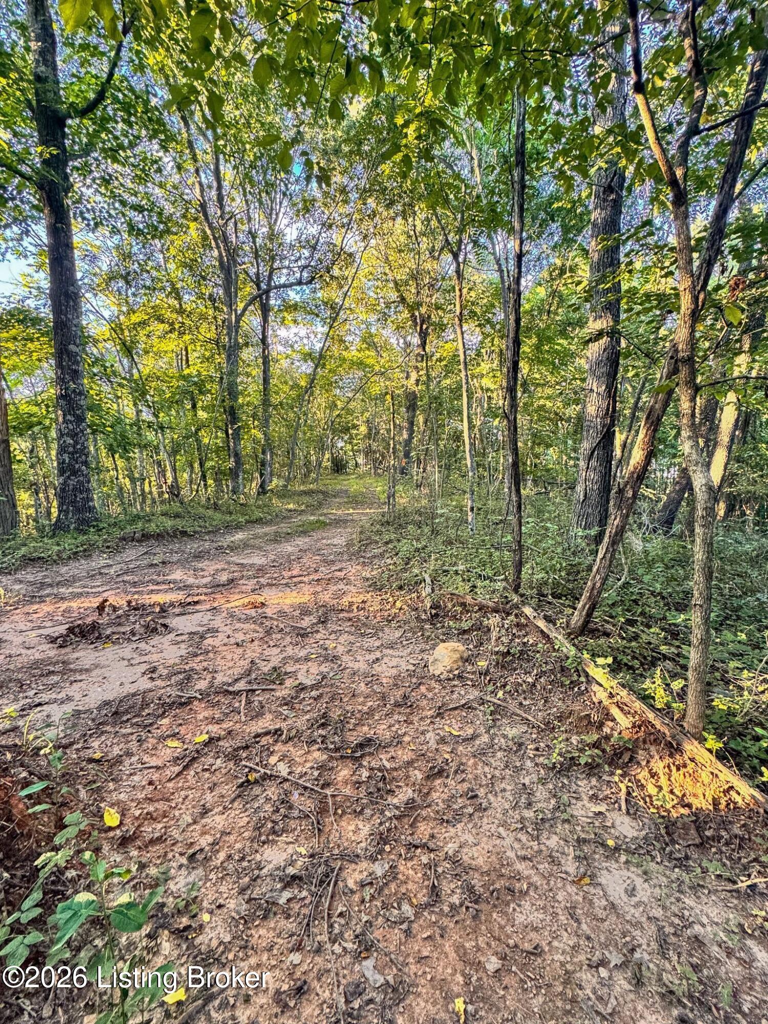 299 Musser Fork Rd Property Photo 32