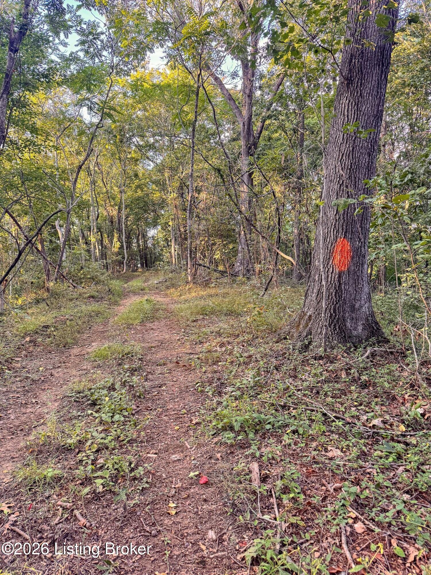 299 Musser Fork Rd Property Photo 33