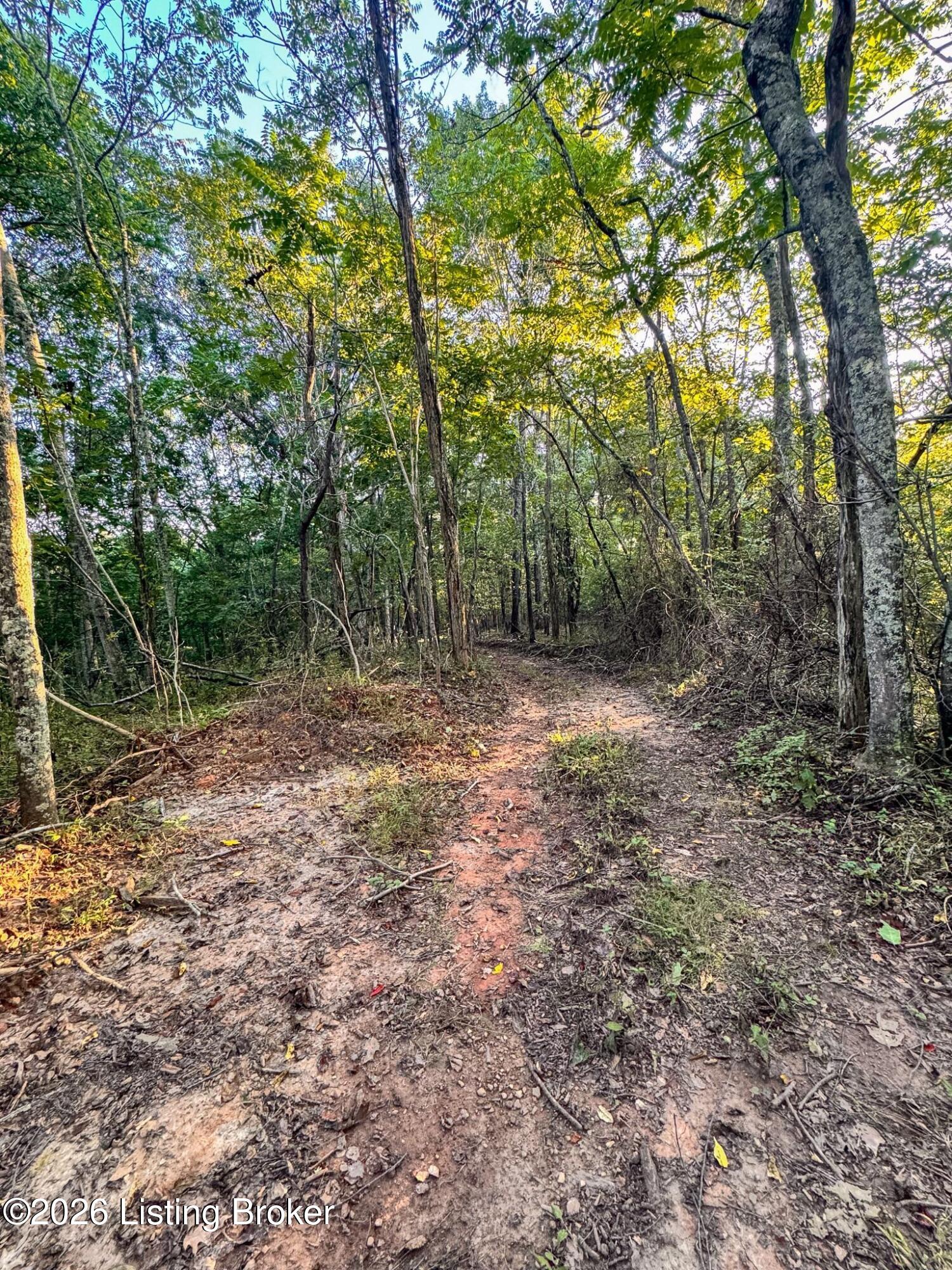 299 Musser Fork Rd Property Photo 33