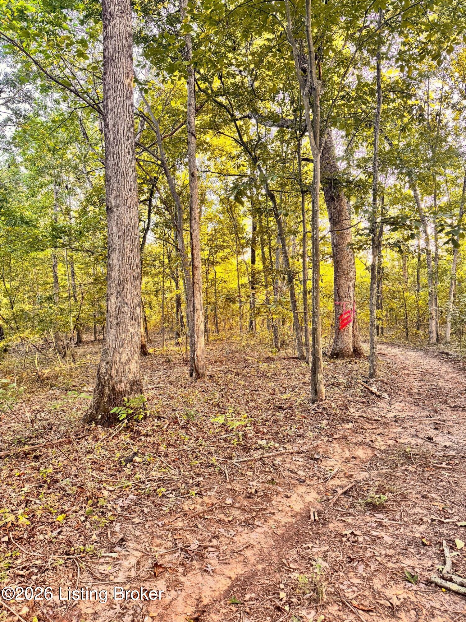 299 Musser Fork Rd Property Photo 34