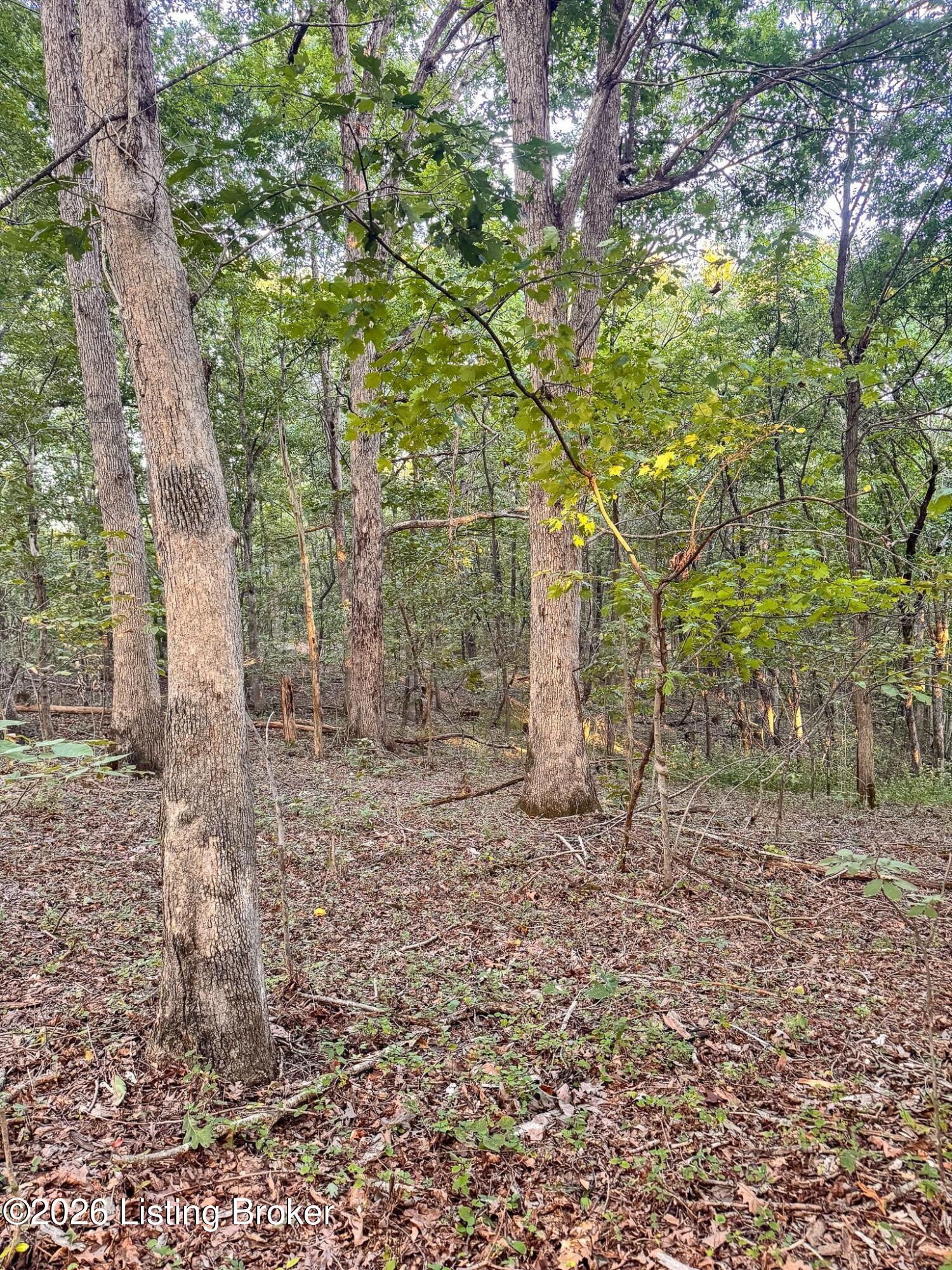 299 Musser Fork Rd Property Photo 35