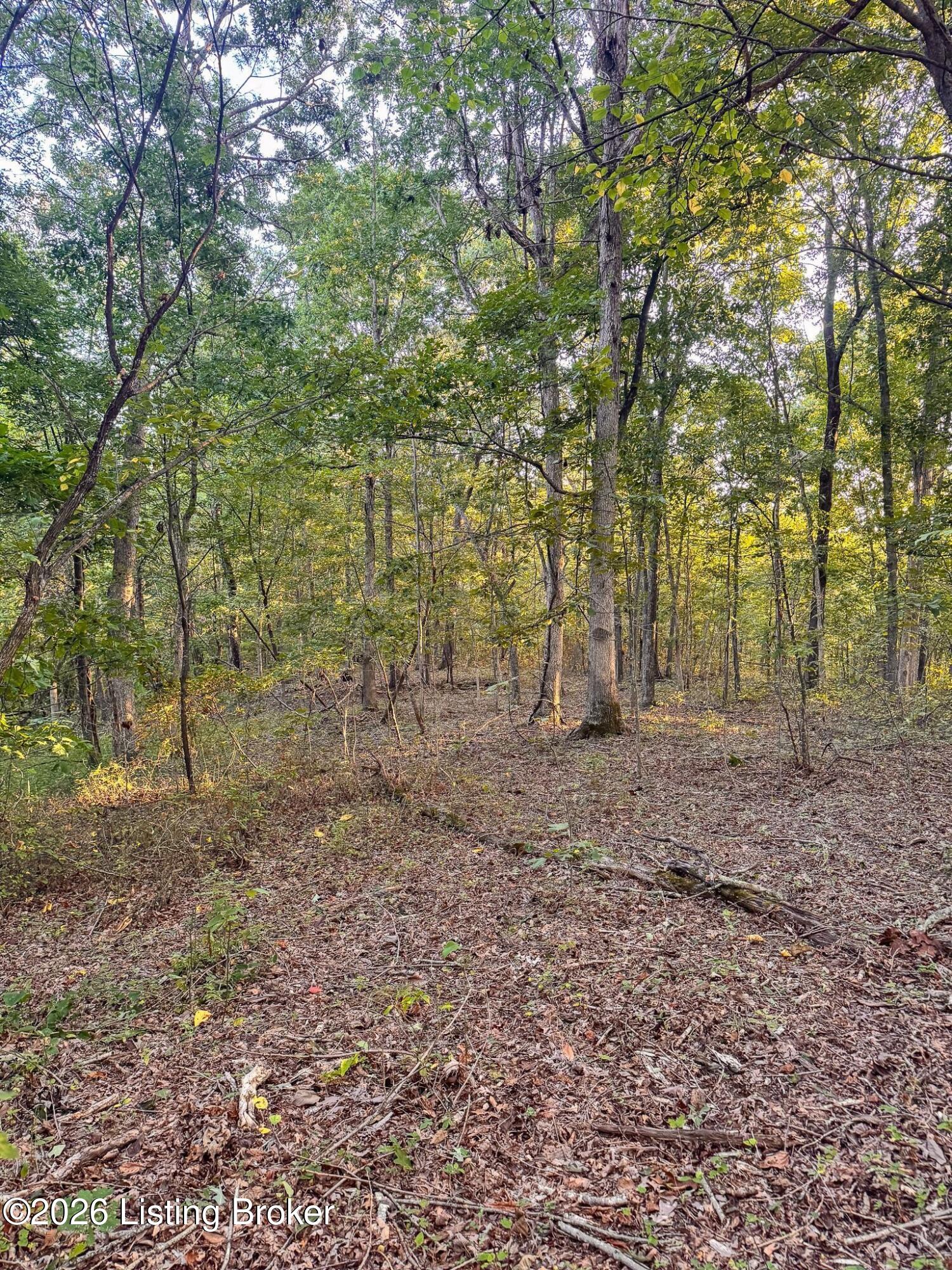 299 Musser Fork Rd Property Photo 36