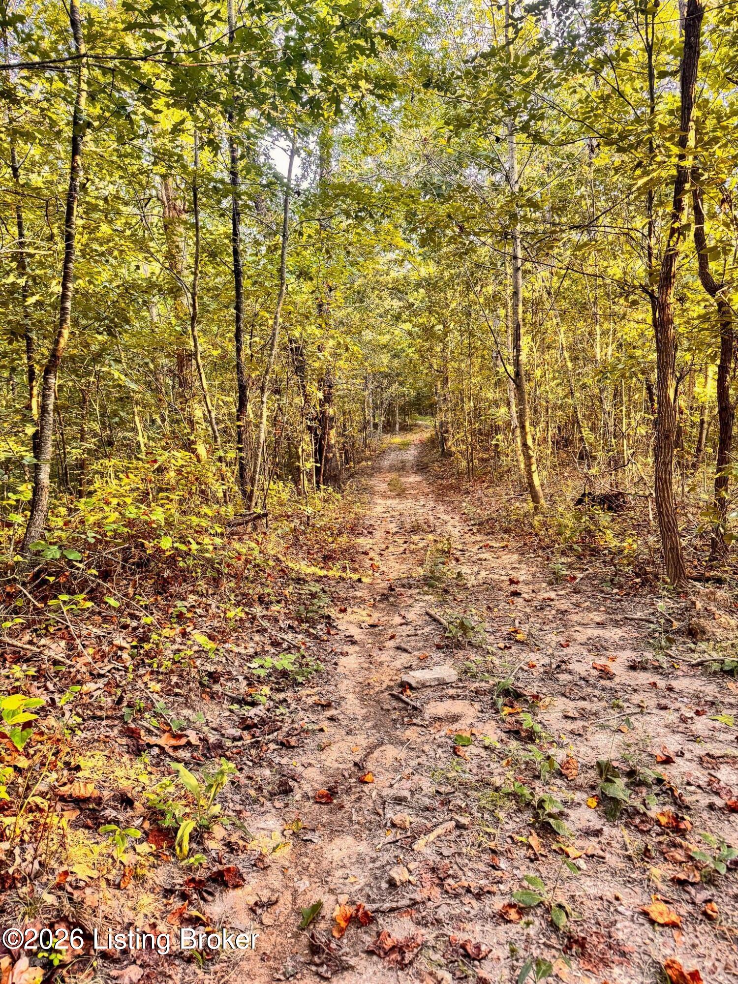 299 Musser Fork Rd Property Photo 37