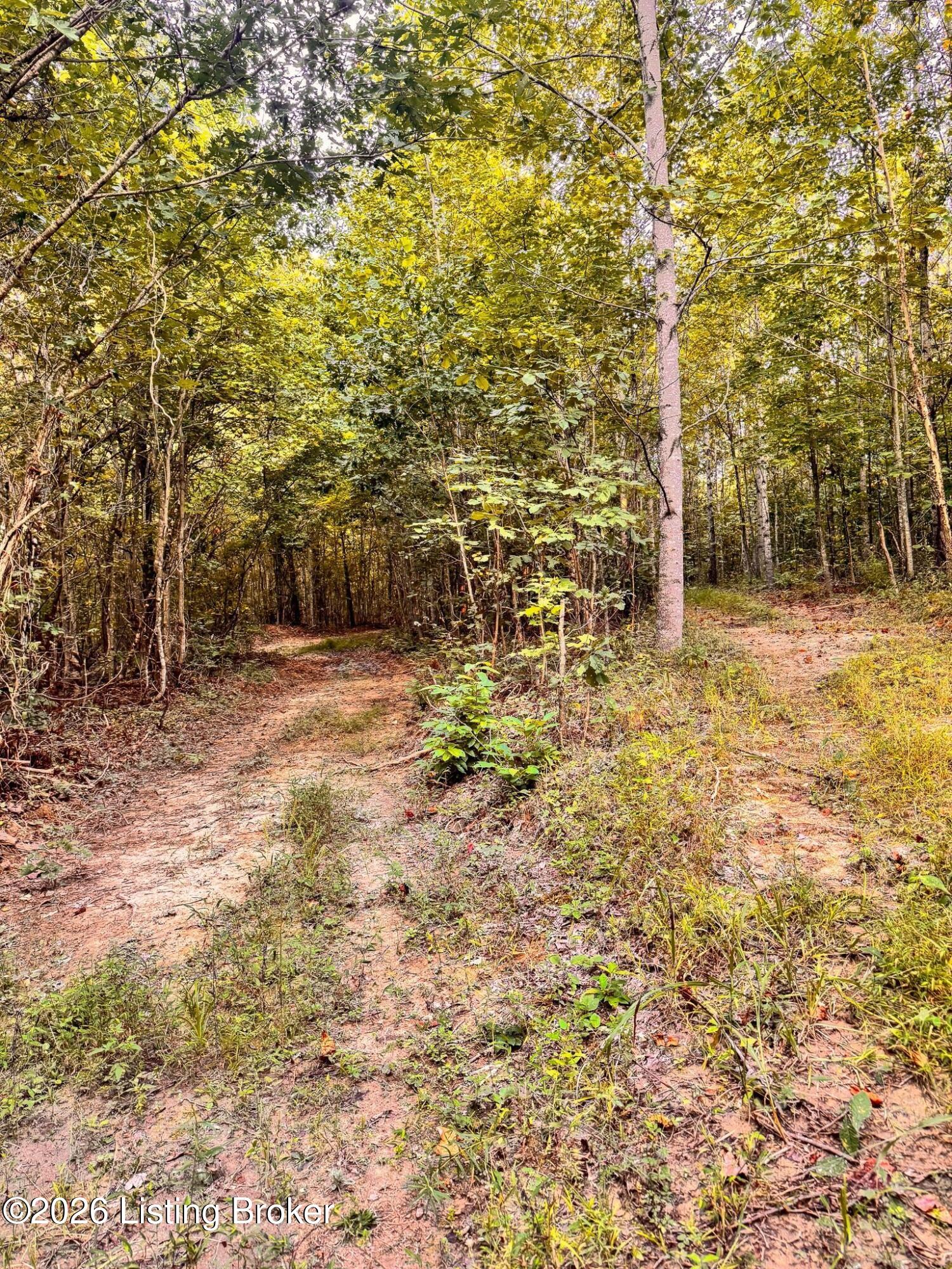 299 Musser Fork Rd Property Photo 38