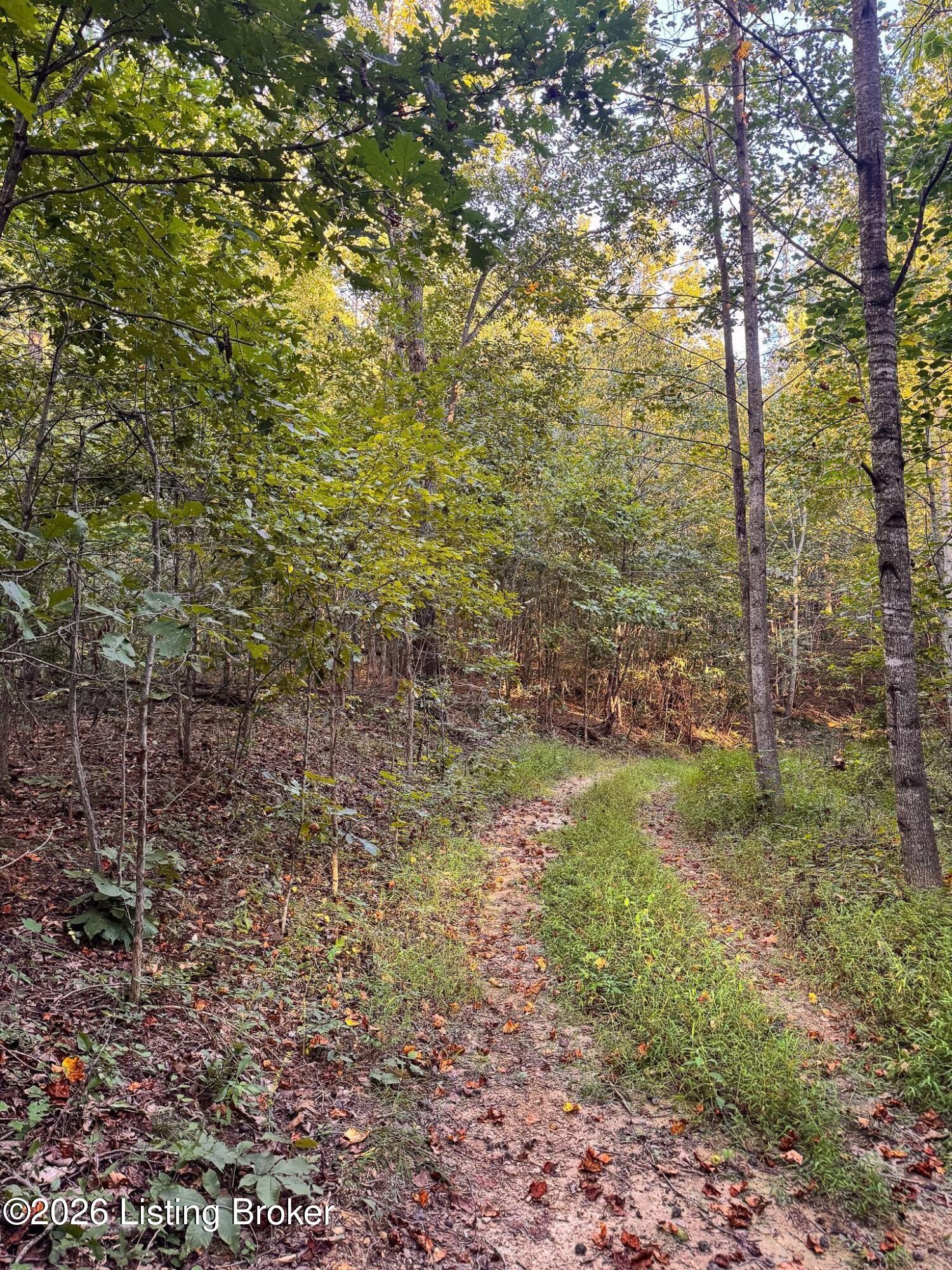299 Musser Fork Rd Property Photo 39