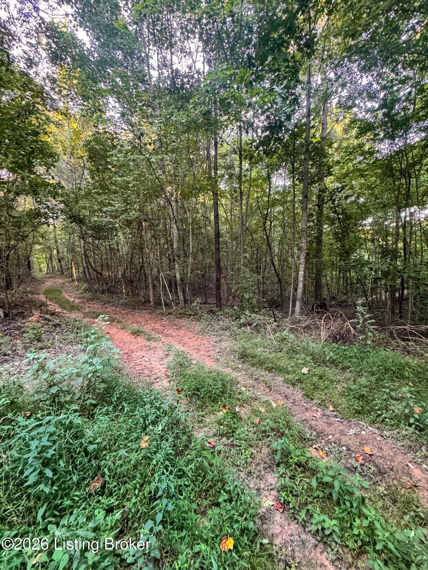 299 Musser Fork Rd Property Photo 42