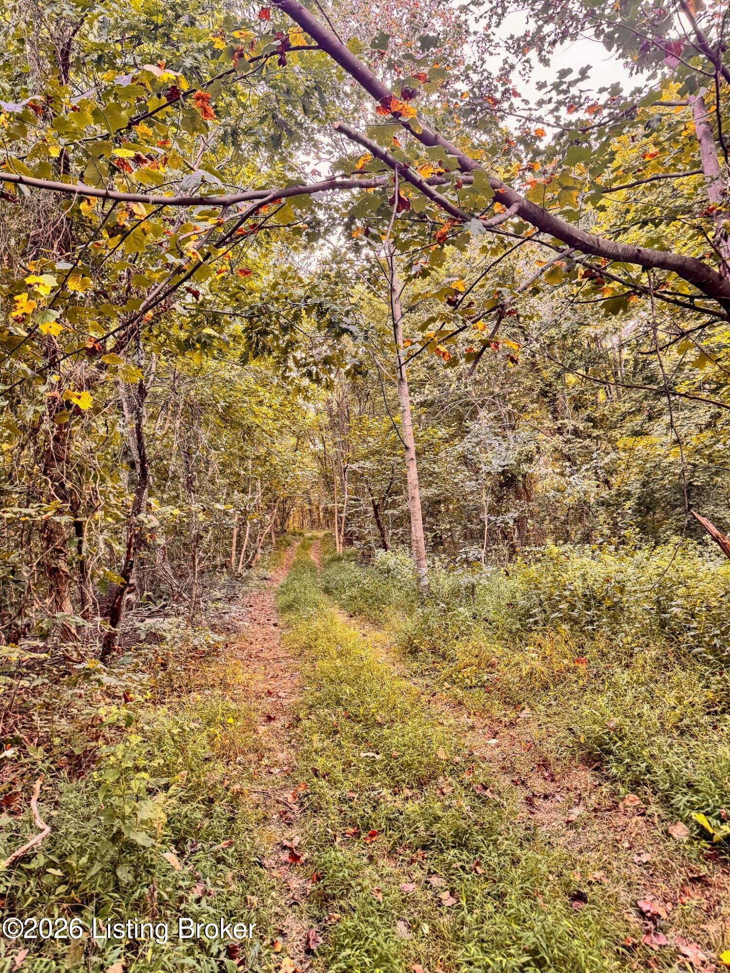 299 Musser Fork Rd Property Photo 43