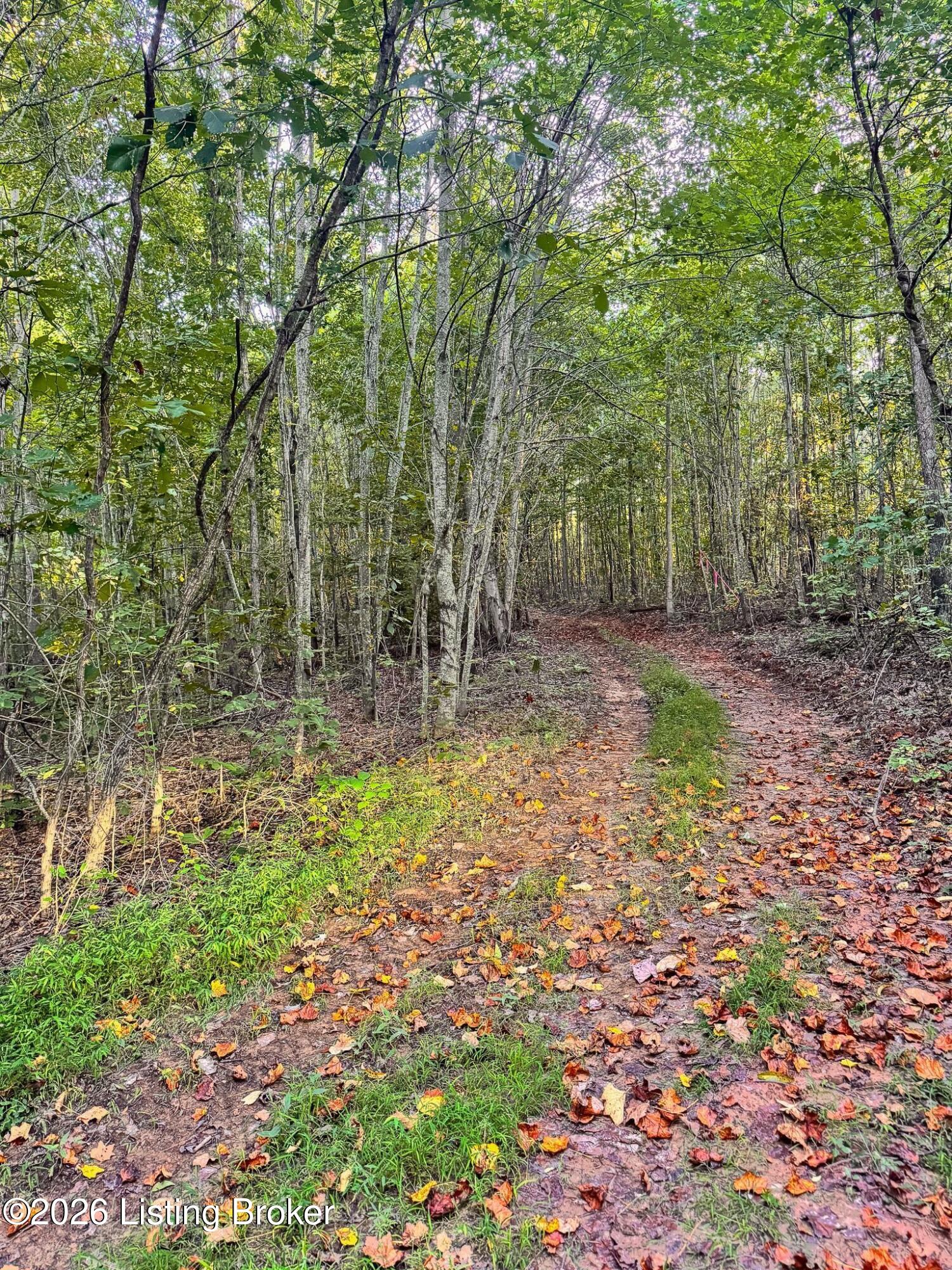 299 Musser Fork Rd Property Photo 43