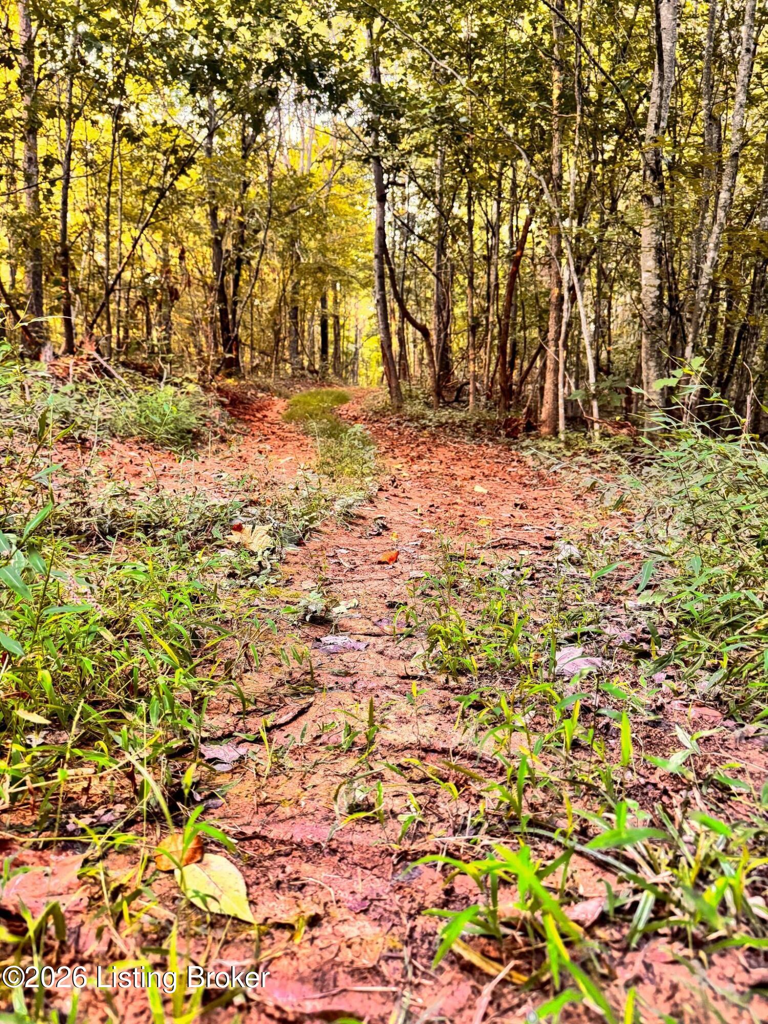299 Musser Fork Rd Property Photo 44