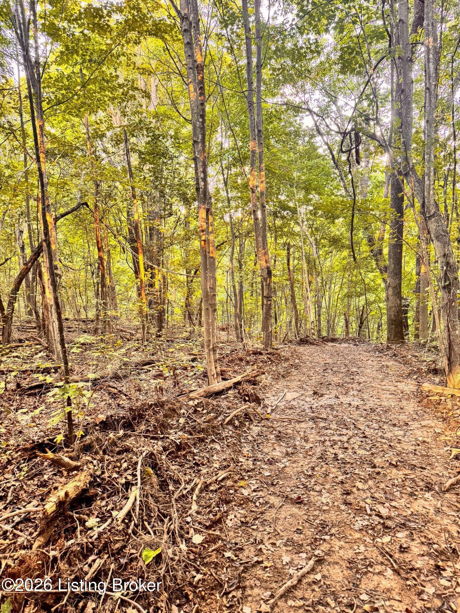 299 Musser Fork Rd Property Photo 45