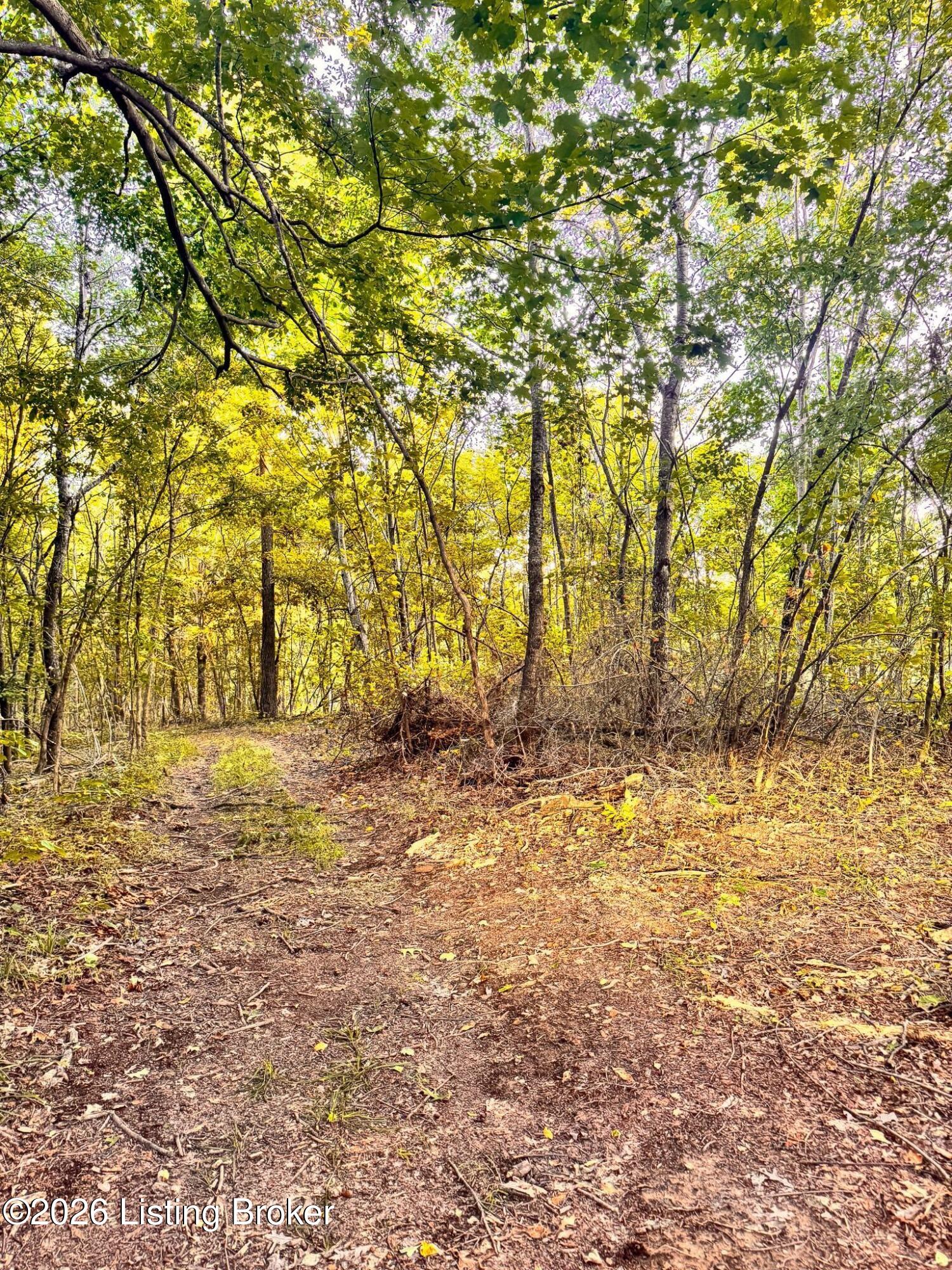 299 Musser Fork Rd Property Photo 46