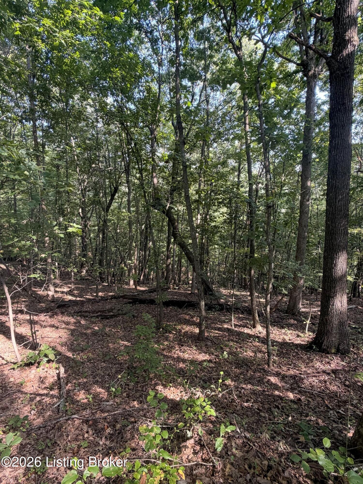 299 Musser Fork Rd Property Photo 48