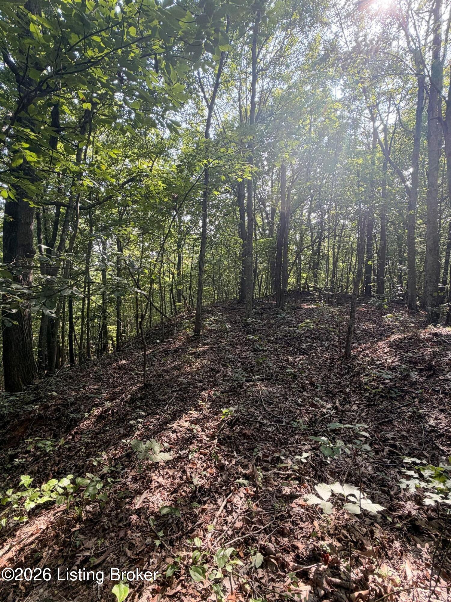 299 Musser Fork Rd Property Photo 49