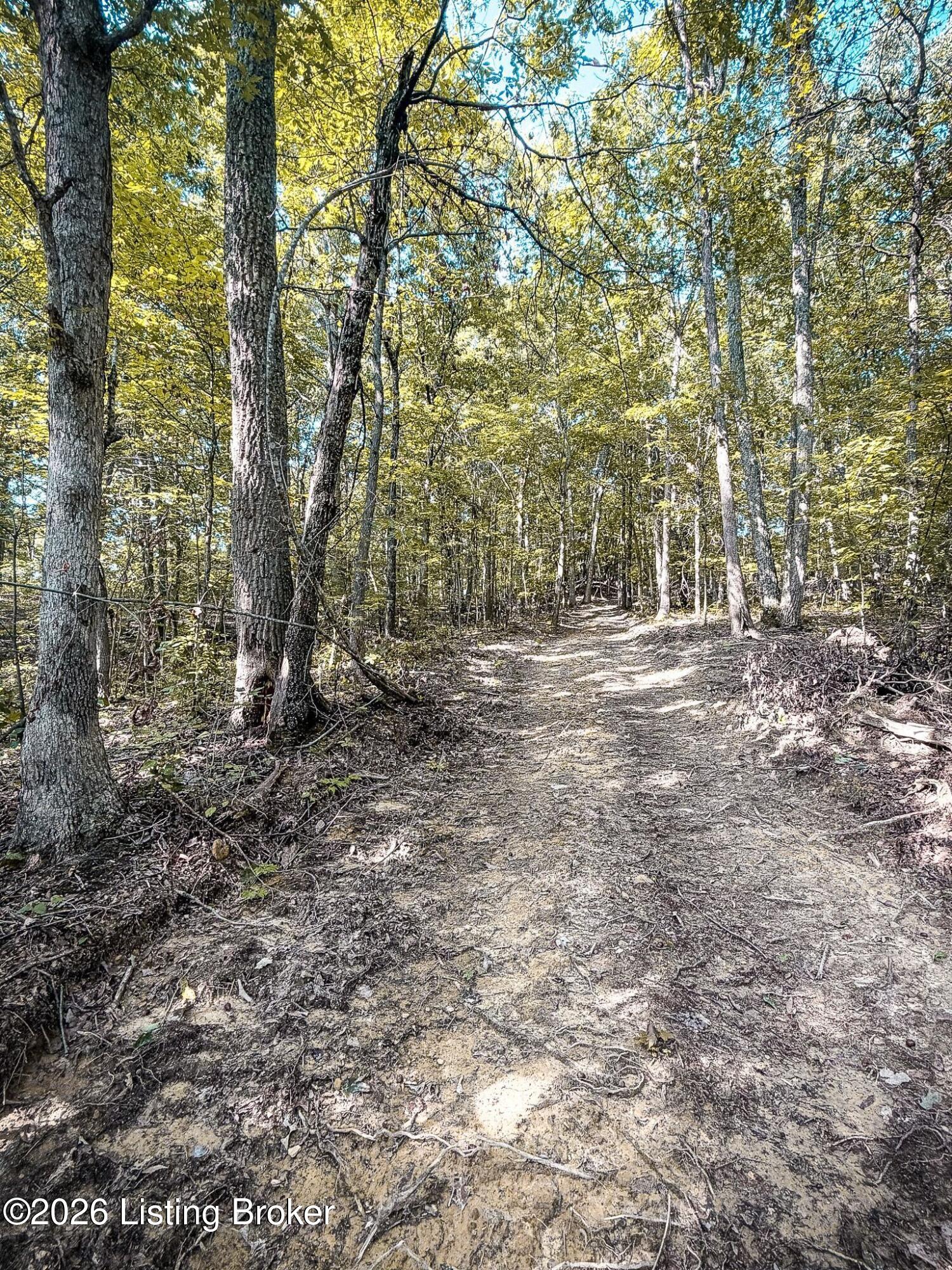 299 Musser Fork Rd Property Photo 49