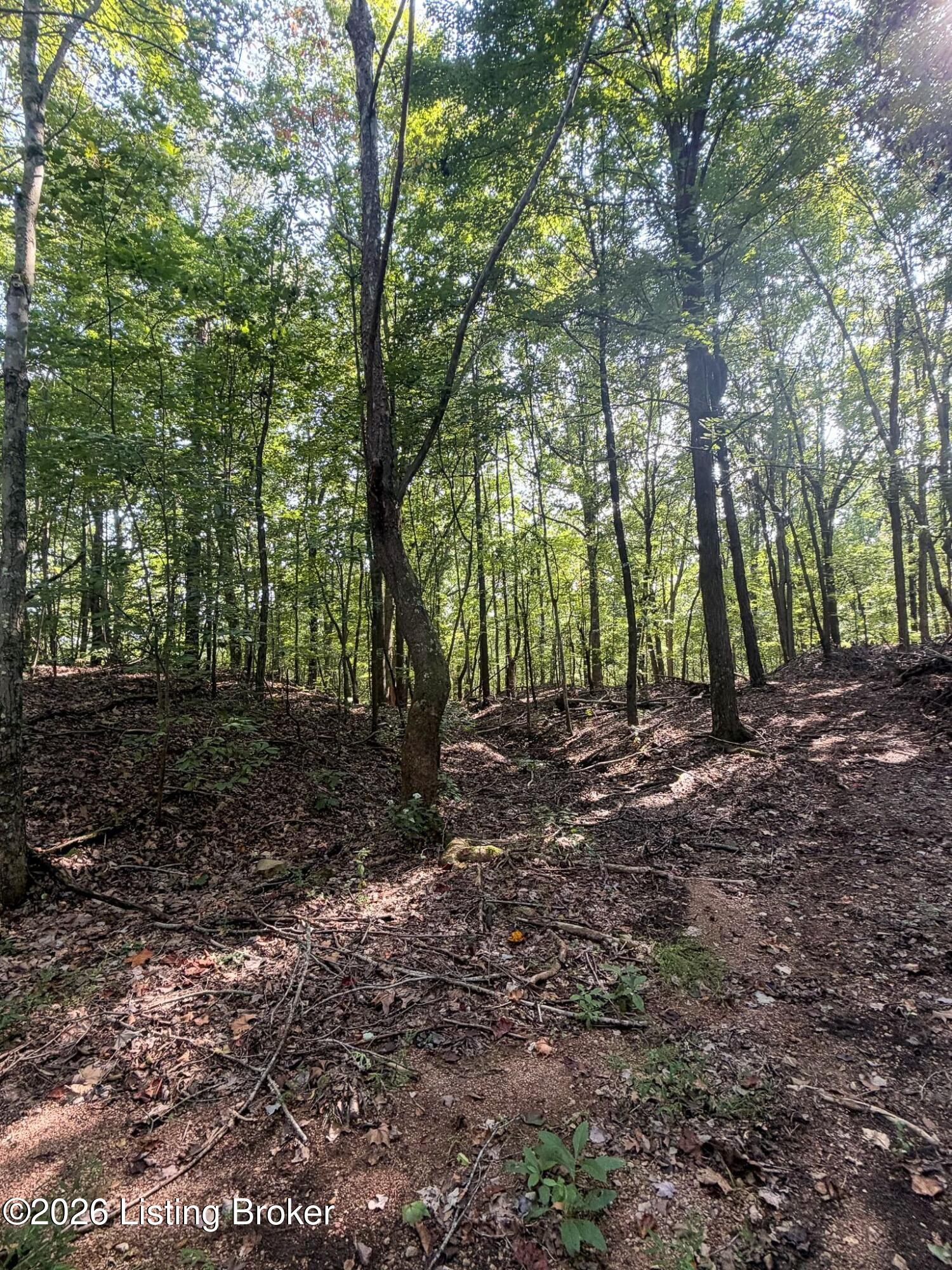 299 Musser Fork Rd Property Photo 51