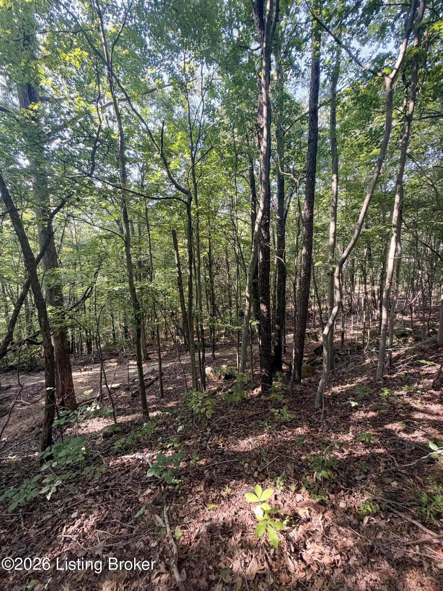 299 Musser Fork Rd Property Photo 52
