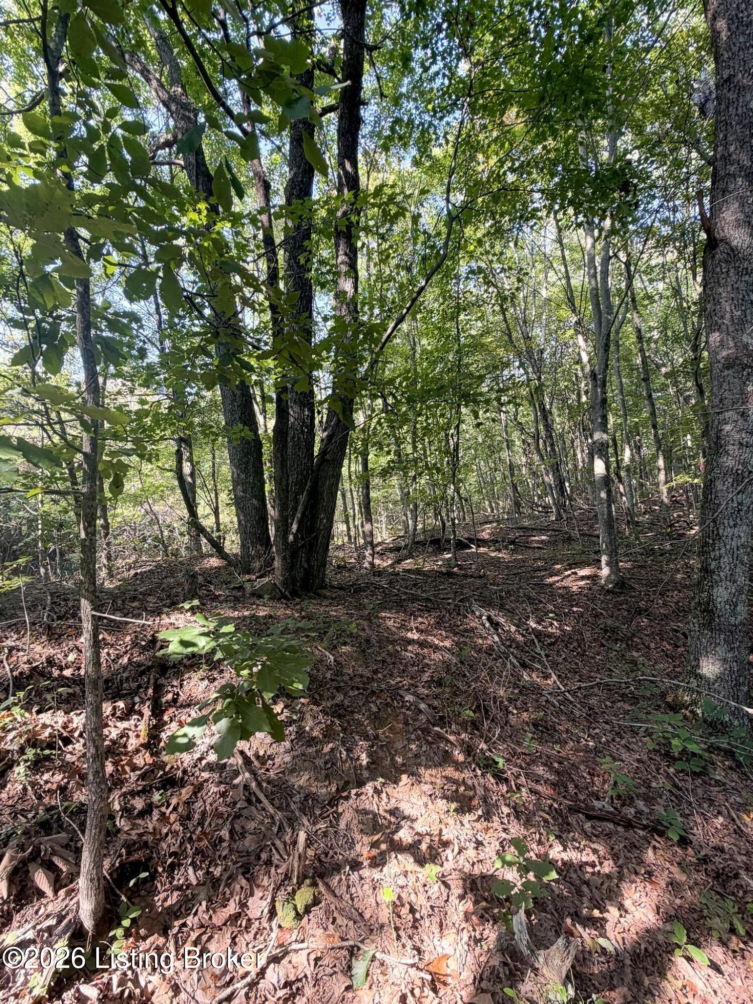 299 Musser Fork Rd Property Photo 52
