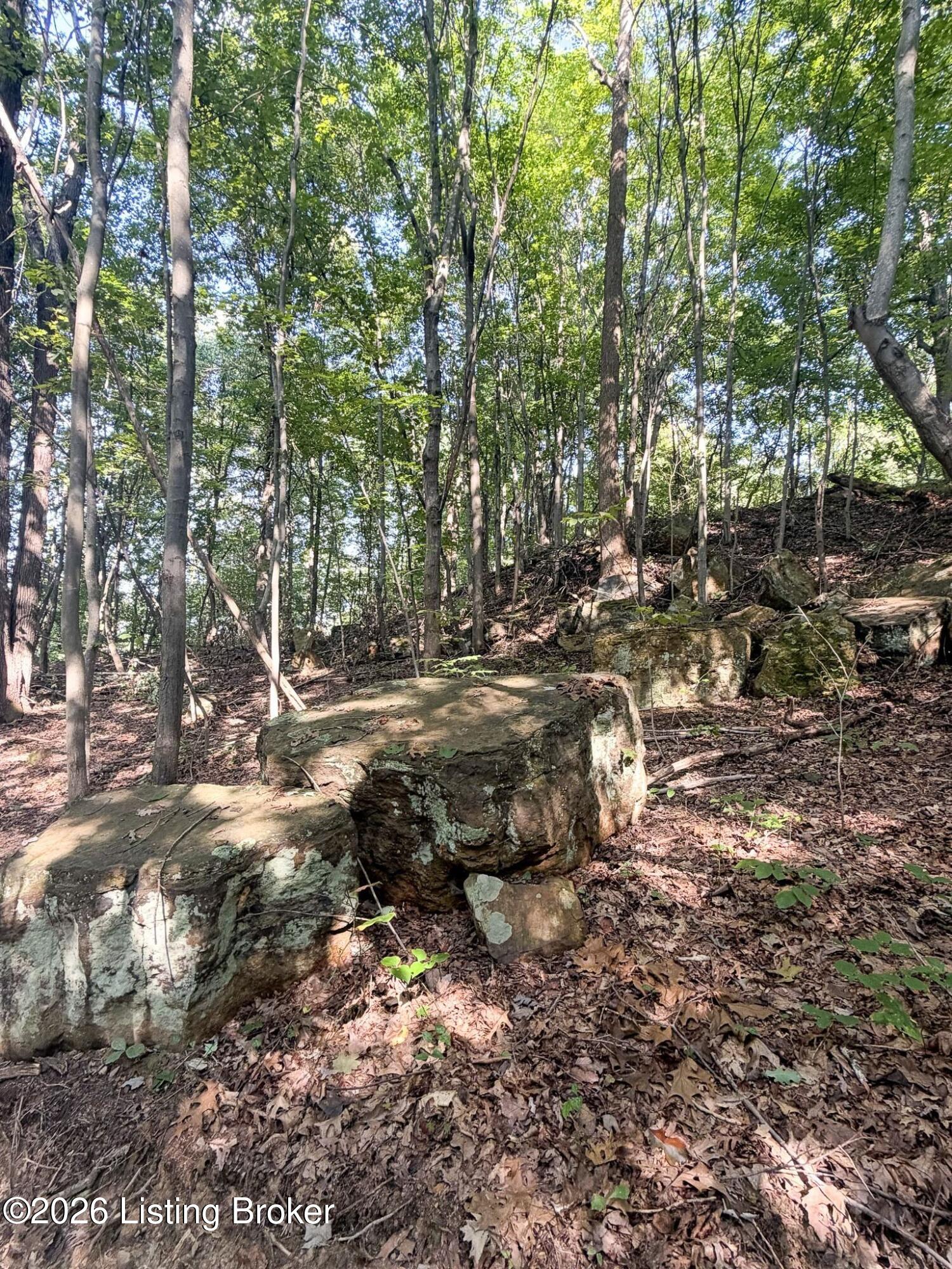299 Musser Fork Rd Property Photo 53