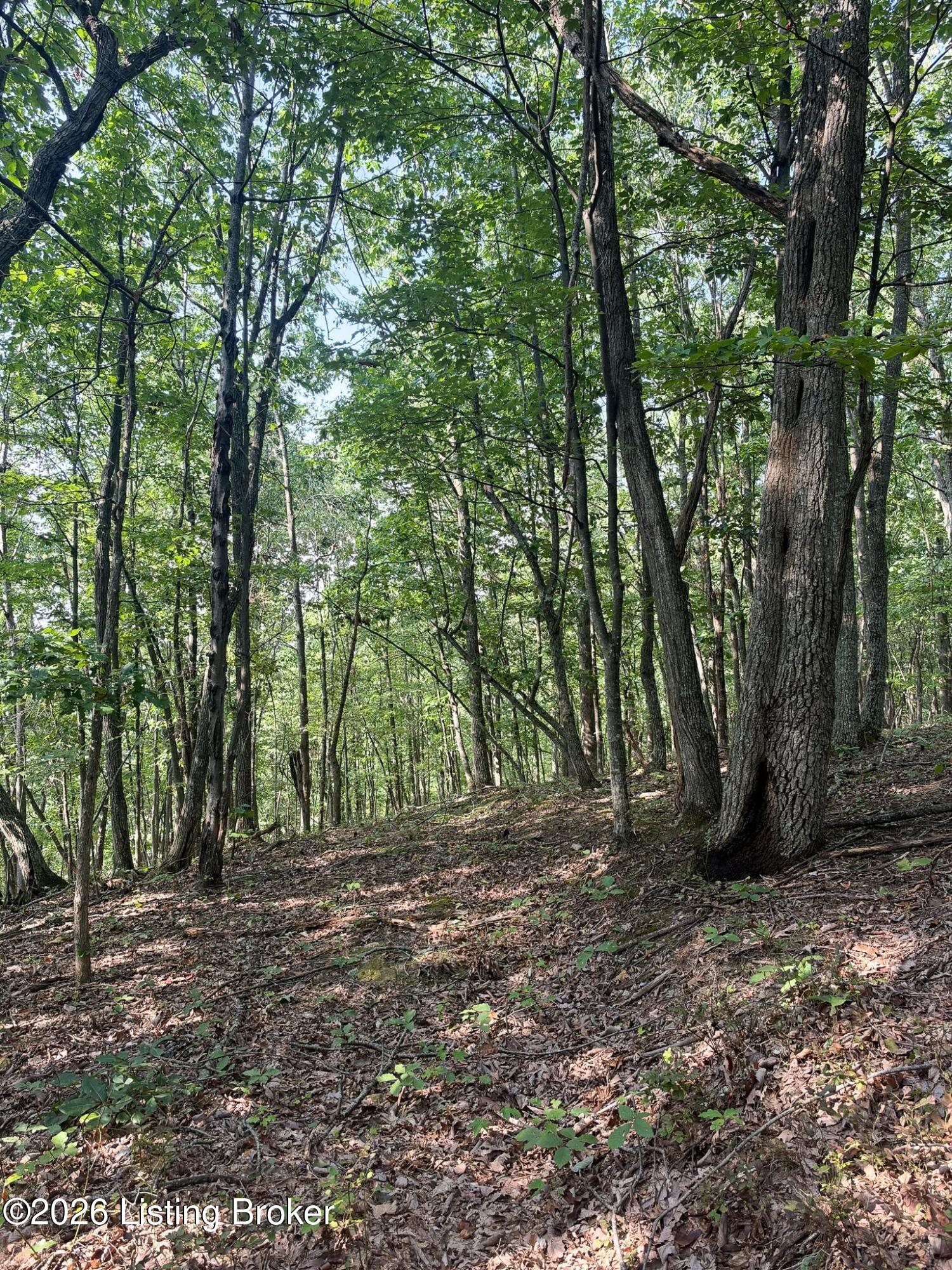 299 Musser Fork Rd Property Photo 56