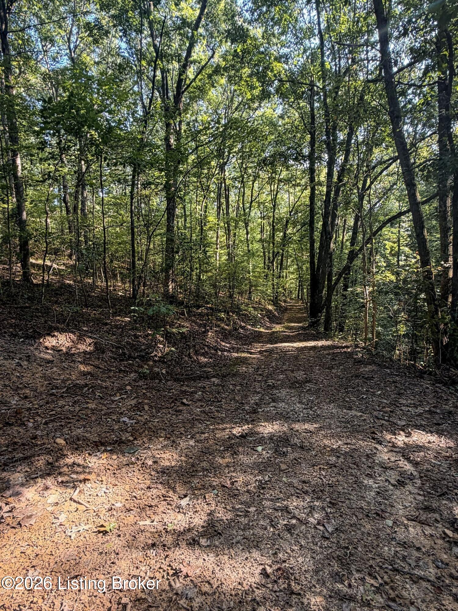 299 Musser Fork Rd Property Photo 58