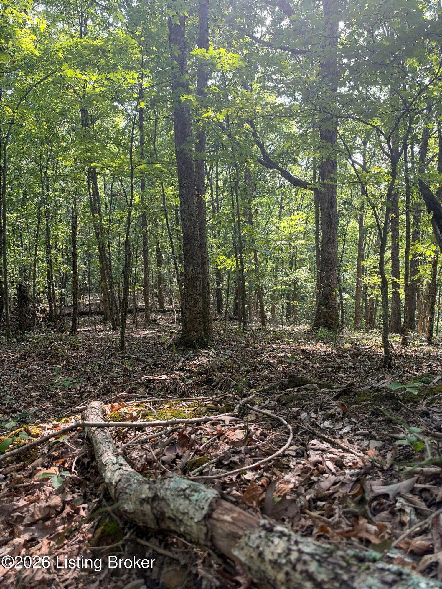 299 Musser Fork Rd Property Photo 59