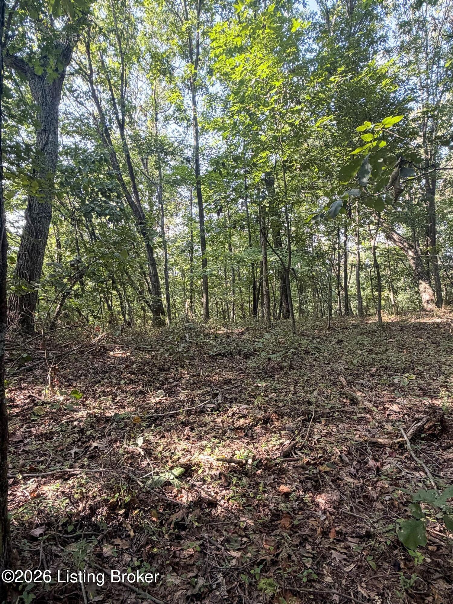 299 Musser Fork Rd Property Photo 61