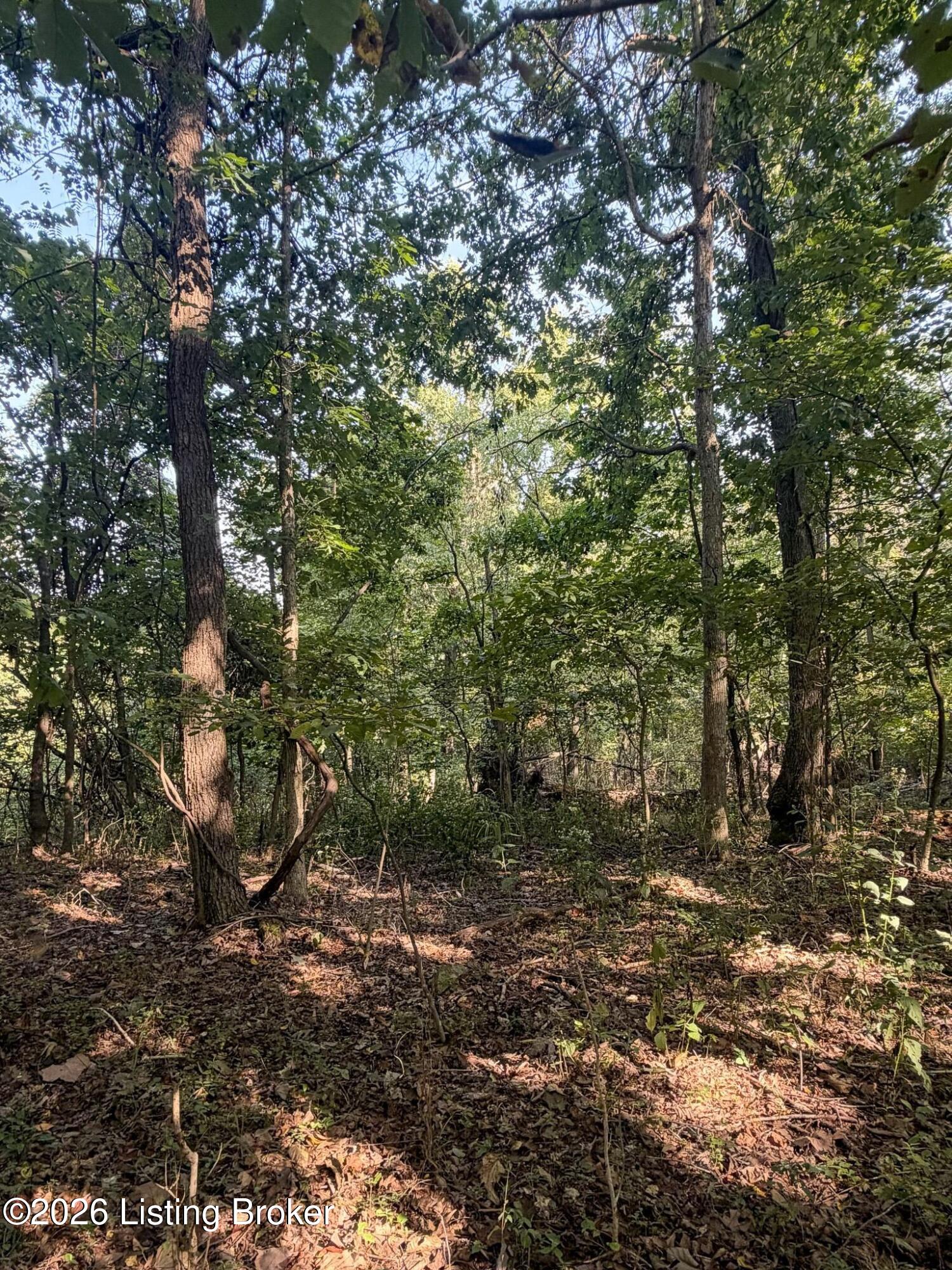 299 Musser Fork Rd Property Photo 62