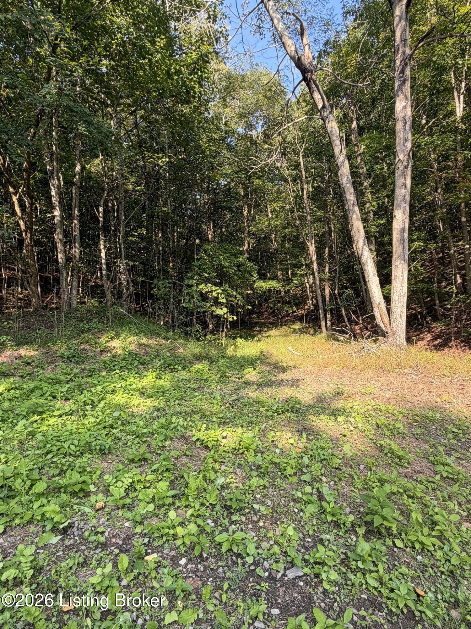 299 Musser Fork Rd Property Photo 64