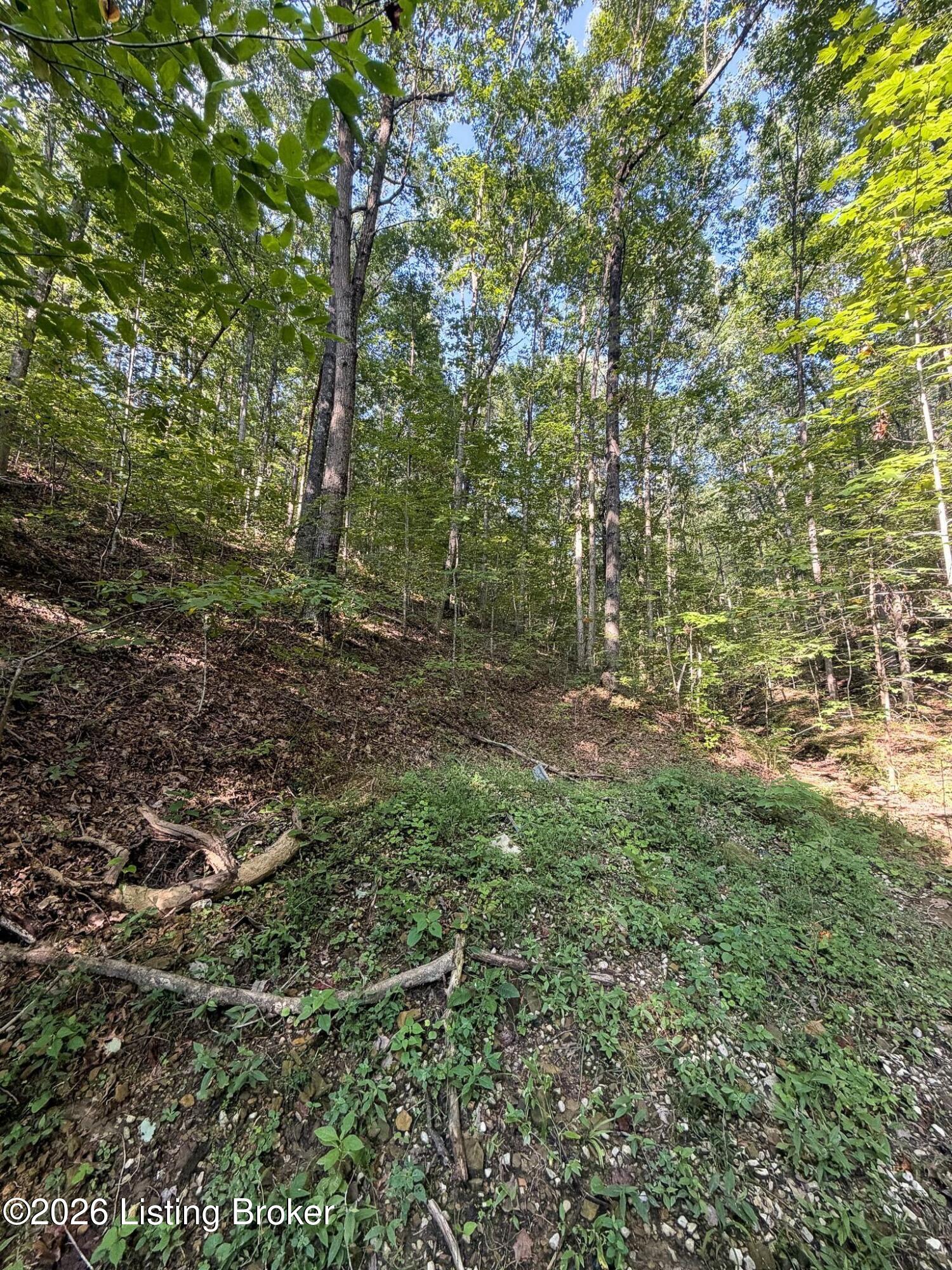299 Musser Fork Rd Property Photo 68