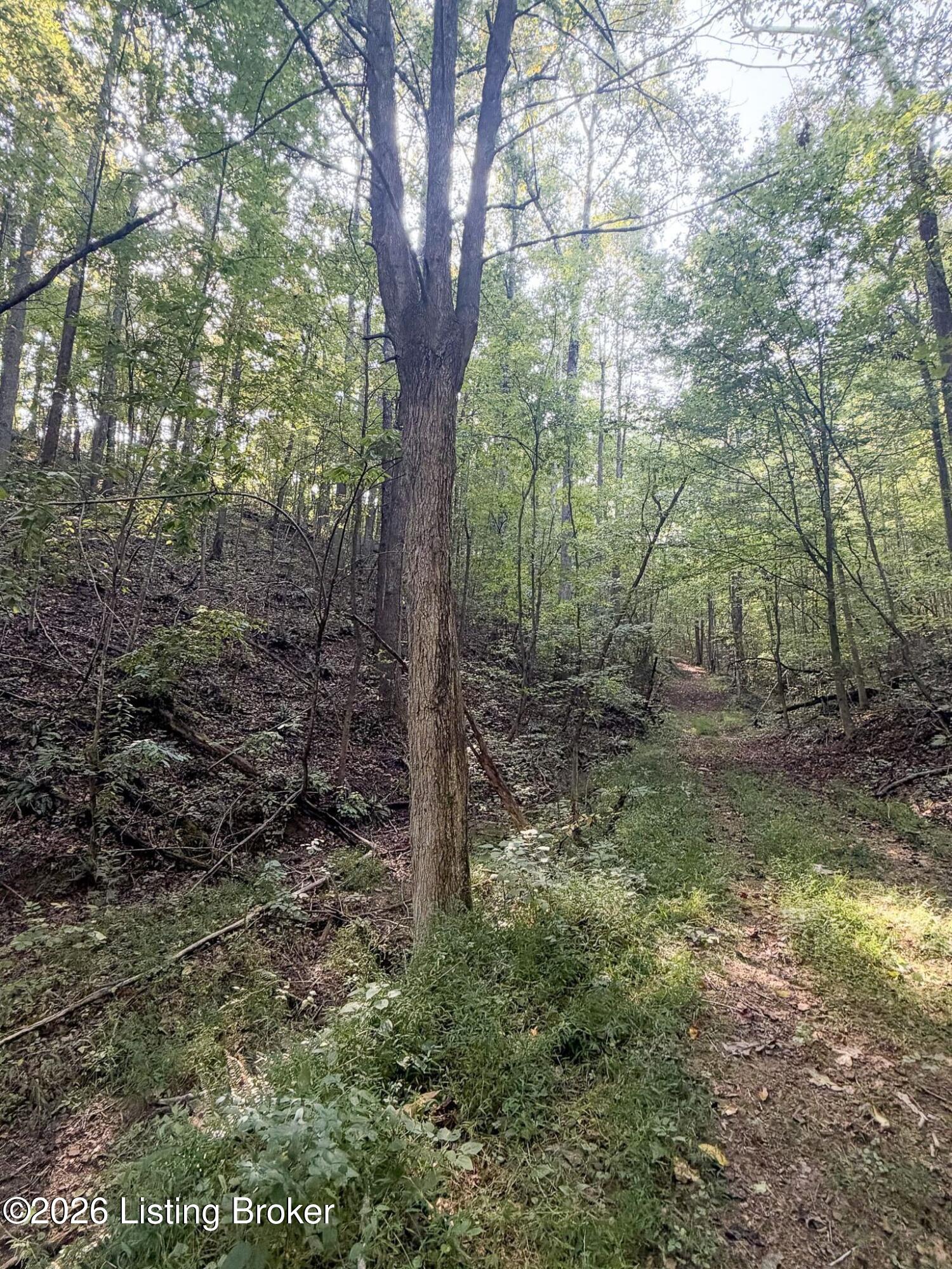 299 Musser Fork Rd Property Photo 68