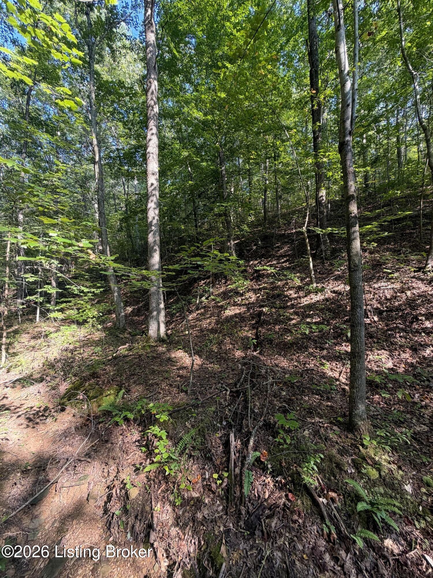 299 Musser Fork Rd Property Photo 69