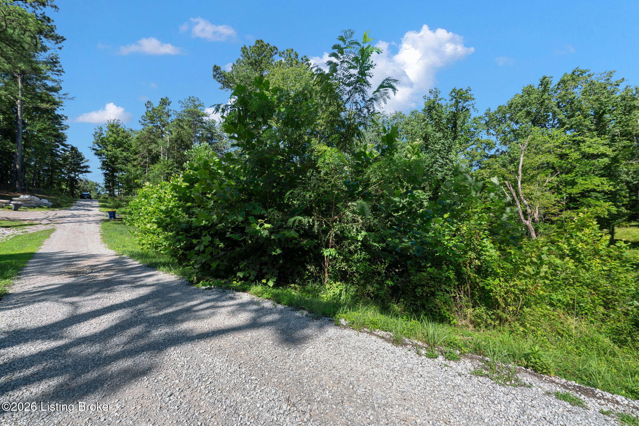 73 Moutardier Bay Ct Property Photo 4