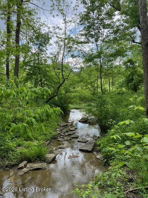 450 Pea Ridge Rd Property Photo 11