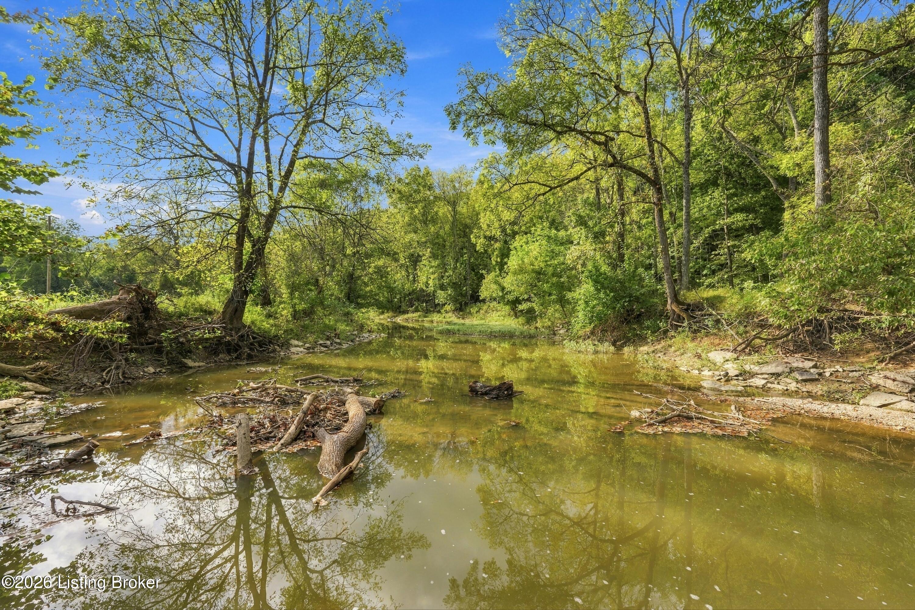 450 Pea Ridge Rd Property Photo 63