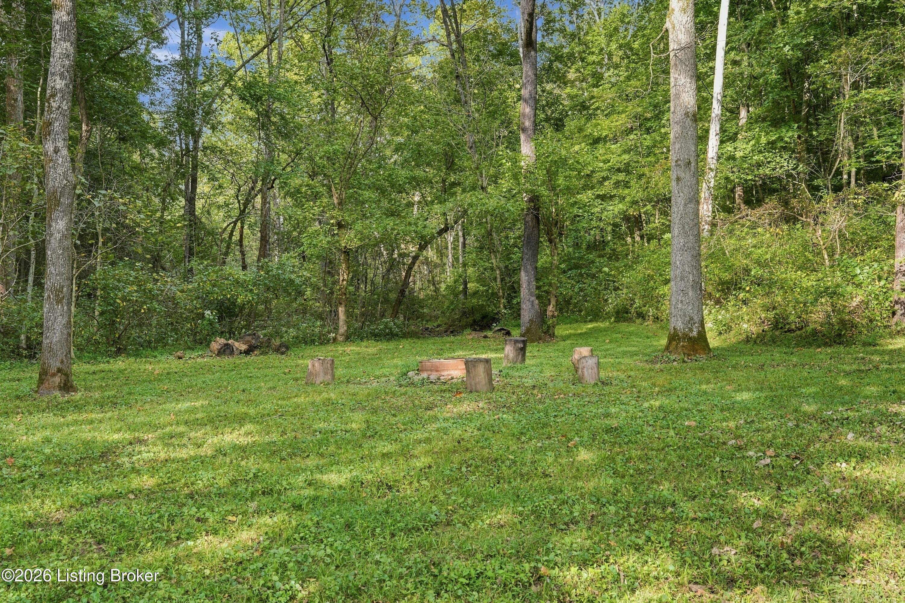 450 Pea Ridge Rd Property Photo 64