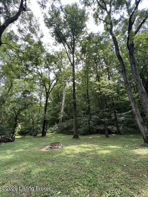 450 Pea Ridge Rd Property Photo 68