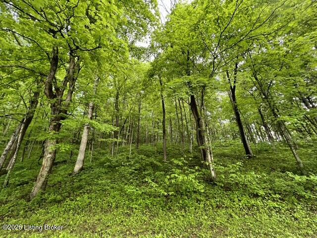 450 Pea Ridge Rd Property Photo 69