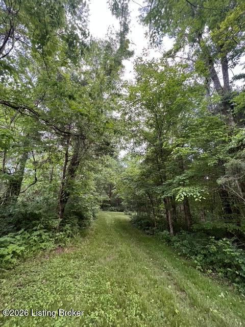 450 Pea Ridge Rd Property Photo 71