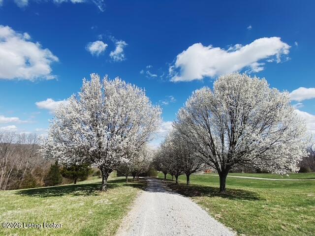 450 Pea Ridge Rd Property Photo 87