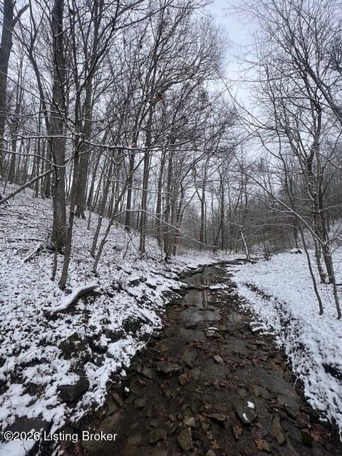 450 Pea Ridge Rd Property Photo 89
