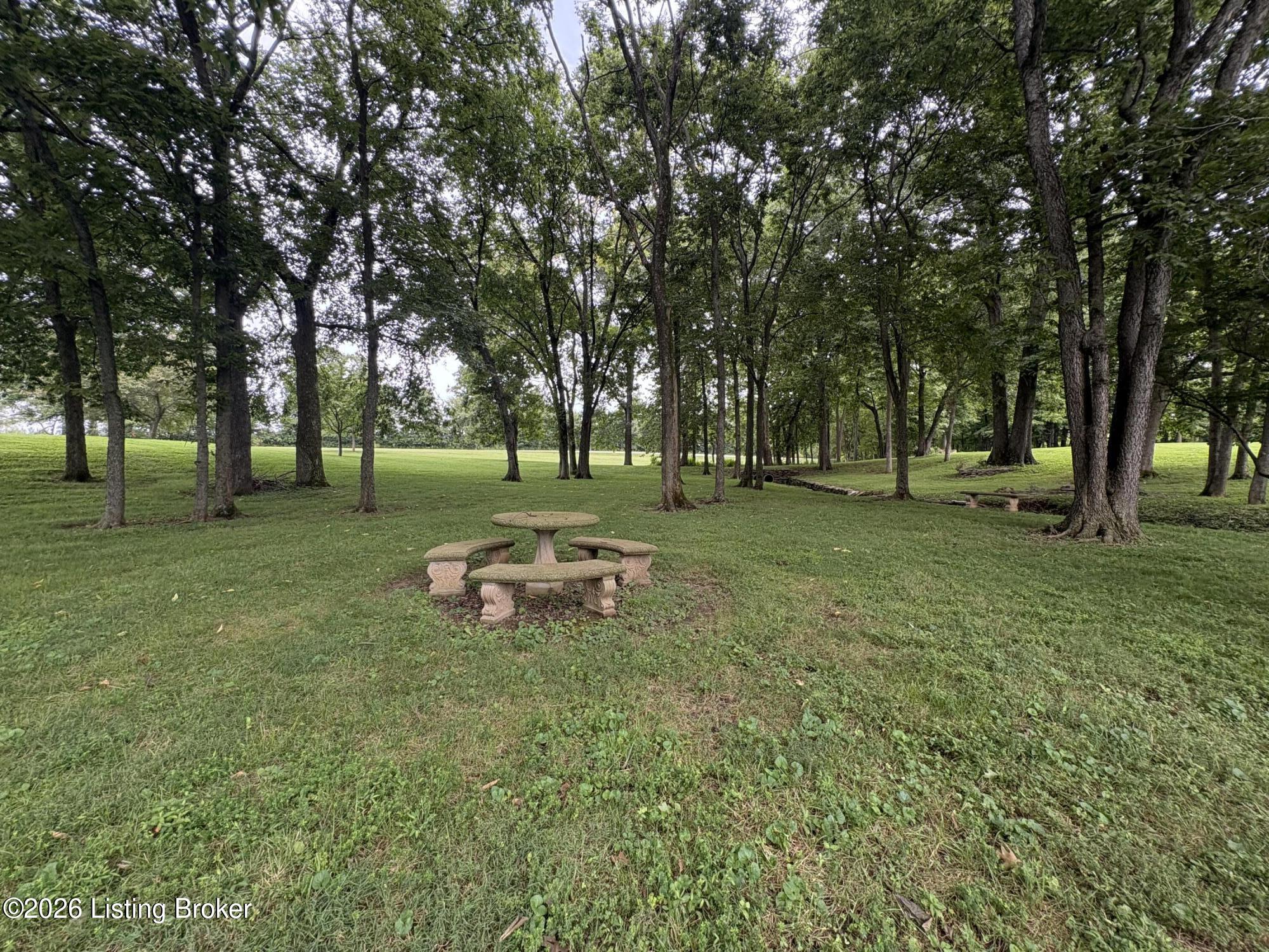 15815 Crystal Valley Way Property Photo 61