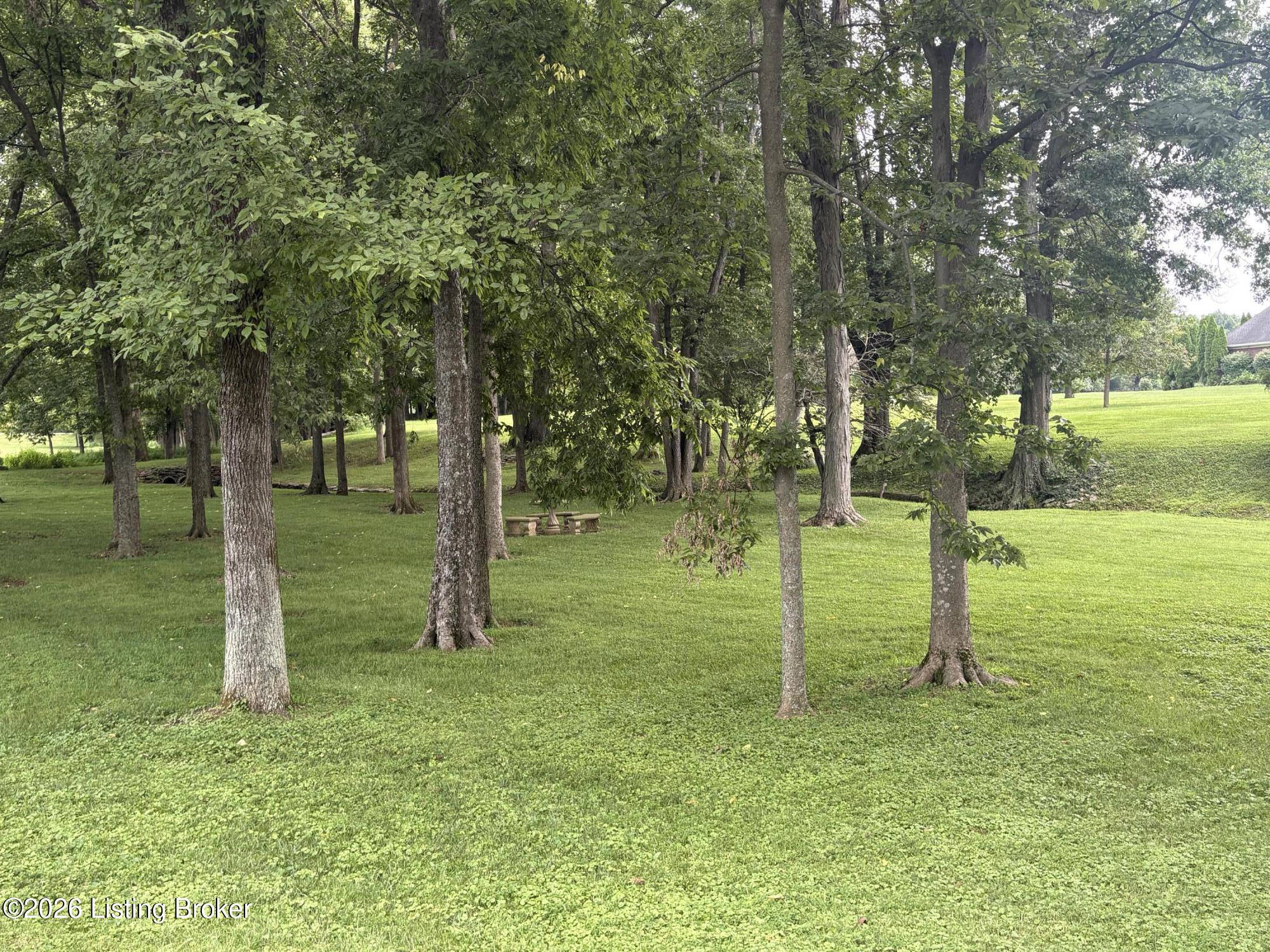 15815 Crystal Valley Way Property Photo 69