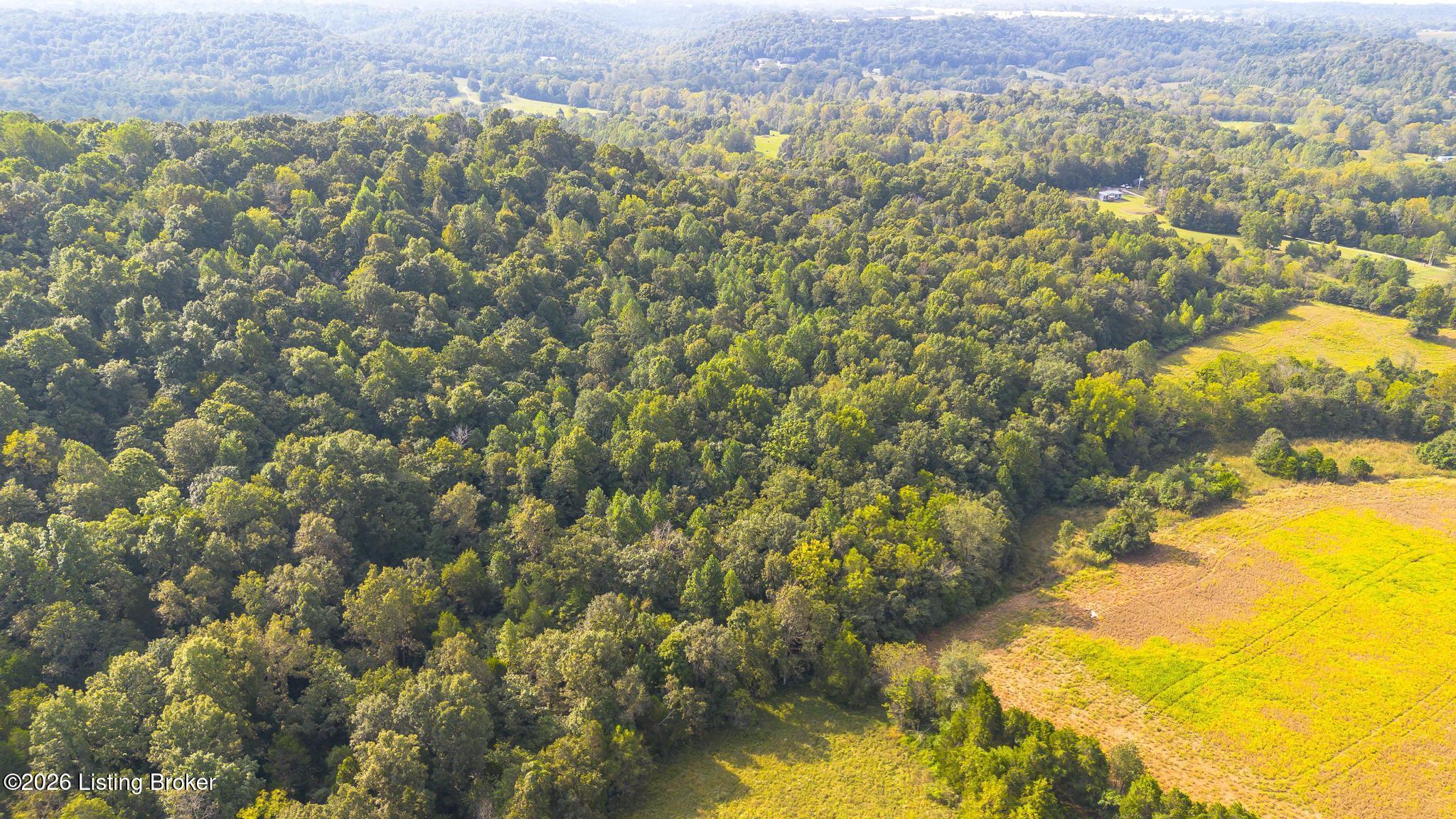1560 Blue Fork Rd Property Photo 48