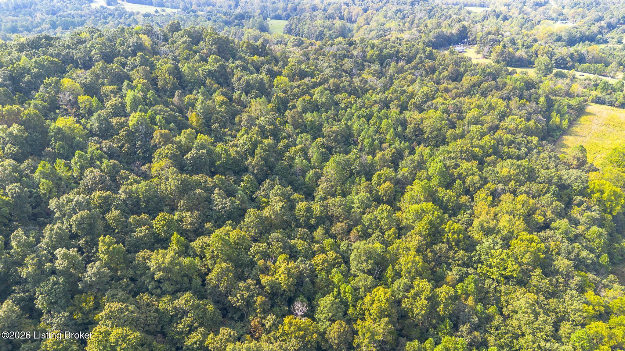 1560 Blue Fork Rd Property Photo 49