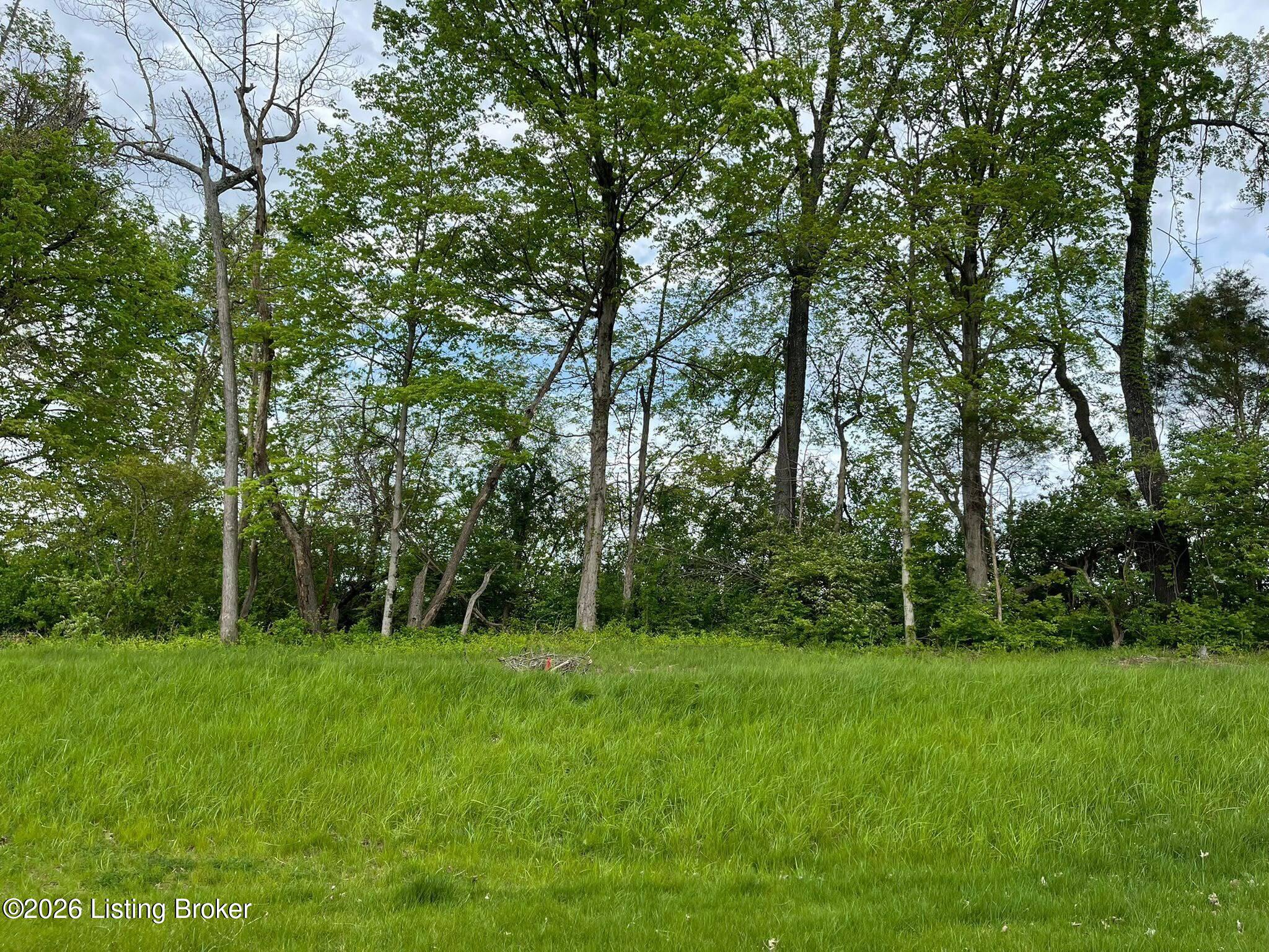 7020 Hollow Oaks Dr Property Photo 11