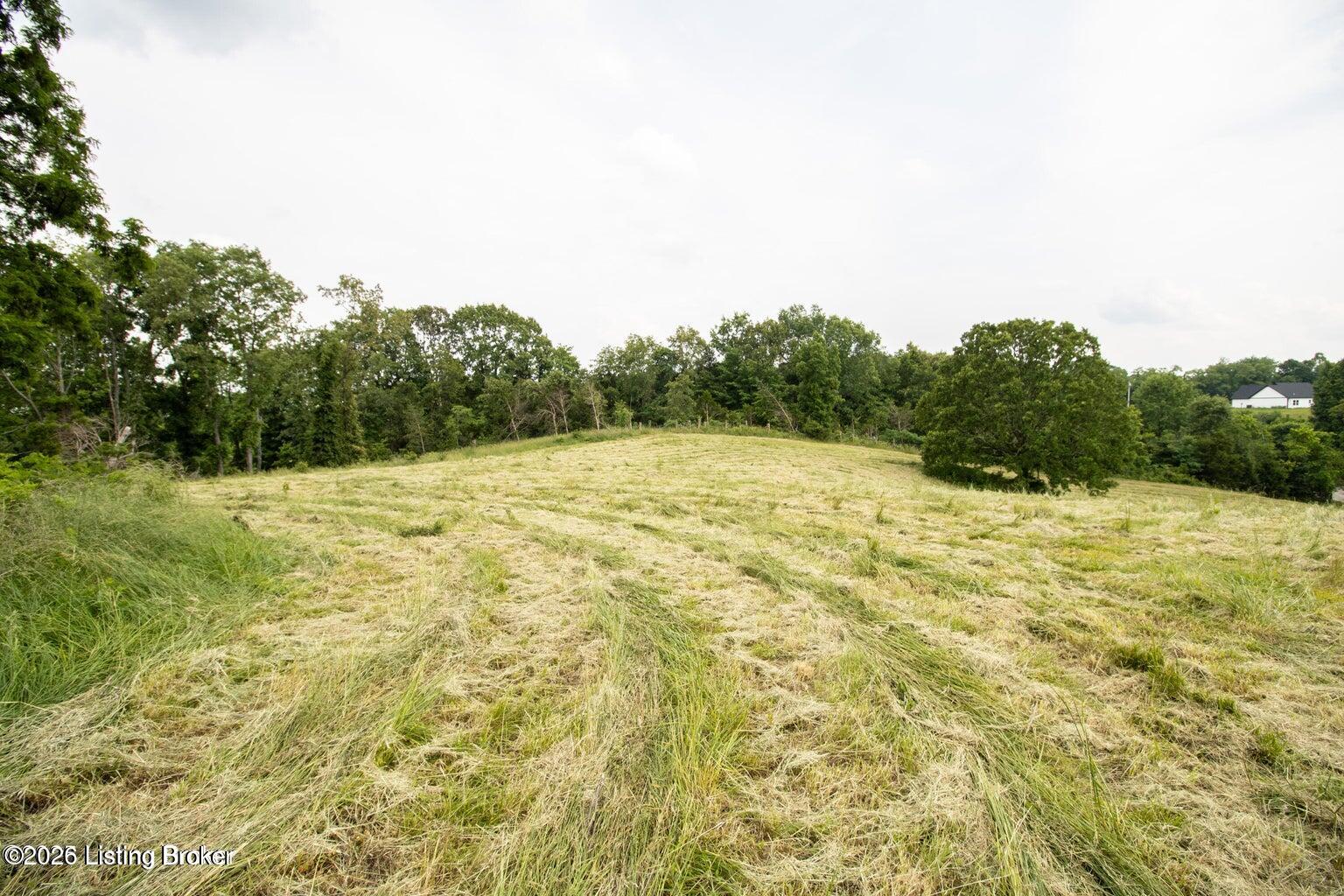 0 Summit Eastview Rd Property Photo 10