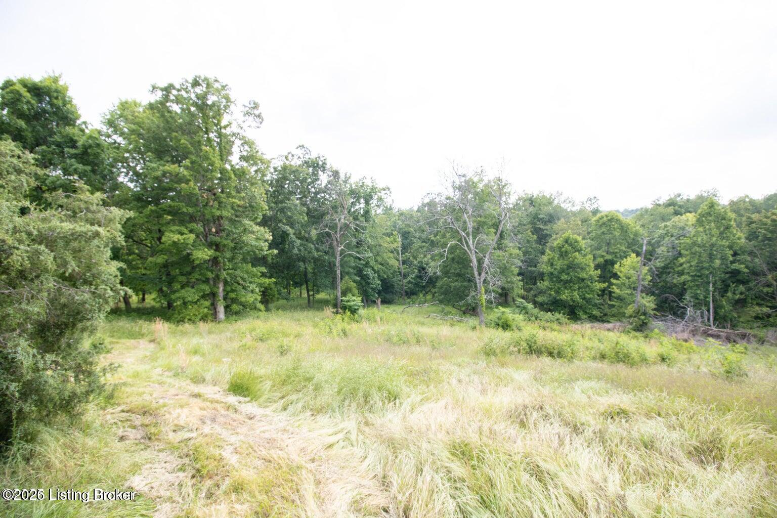 0 Summit Eastview Rd Property Photo 11