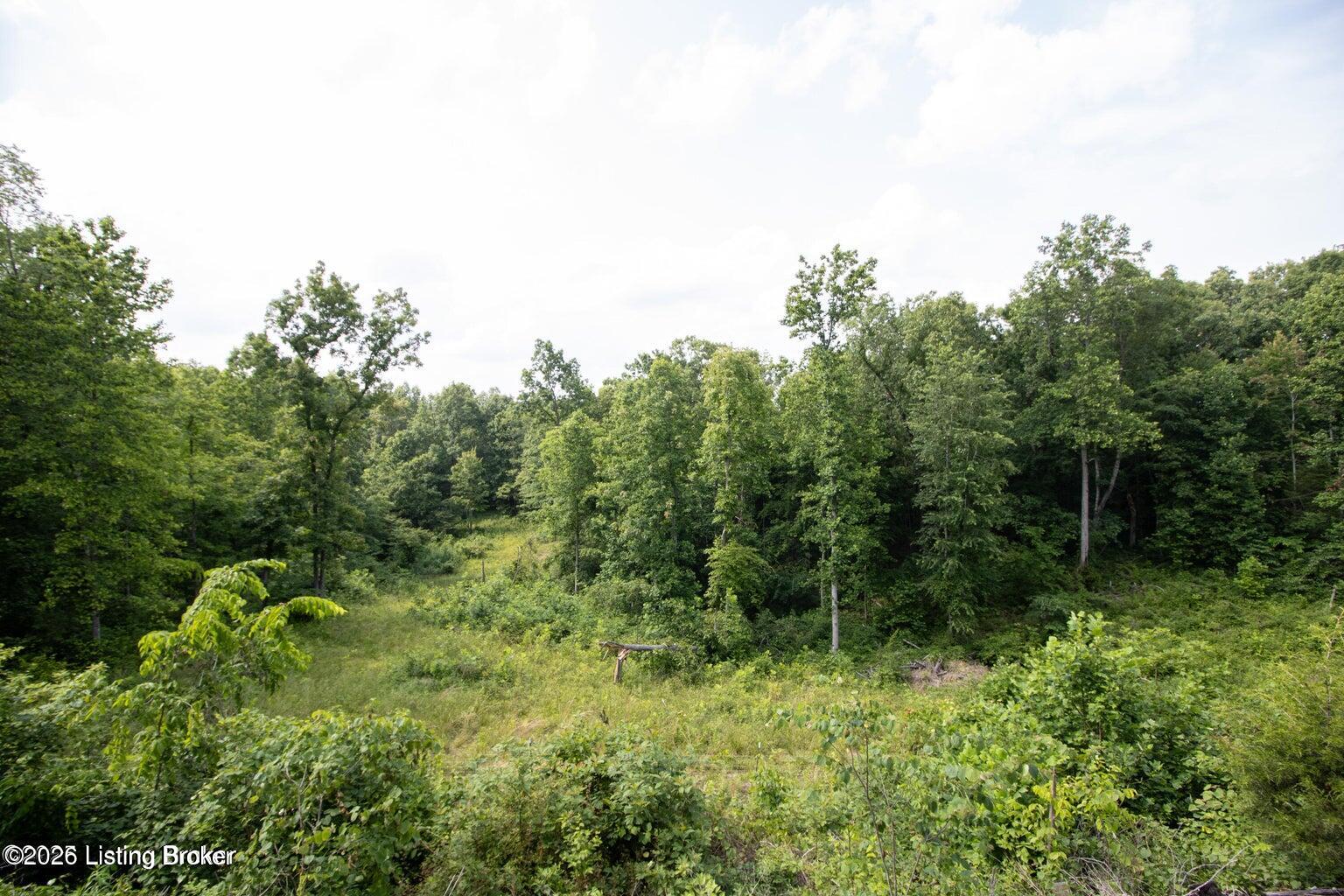 0 Summit Eastview Rd Property Photo 12