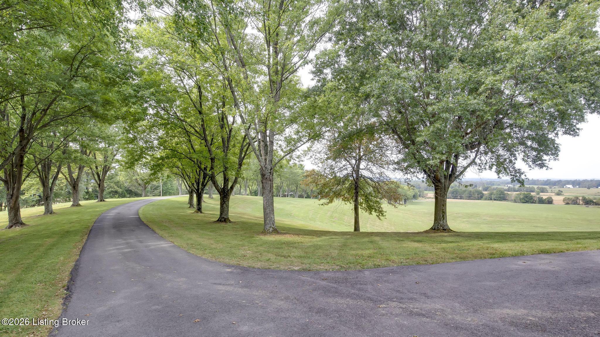 2835 Ky-261 Property Photo 91