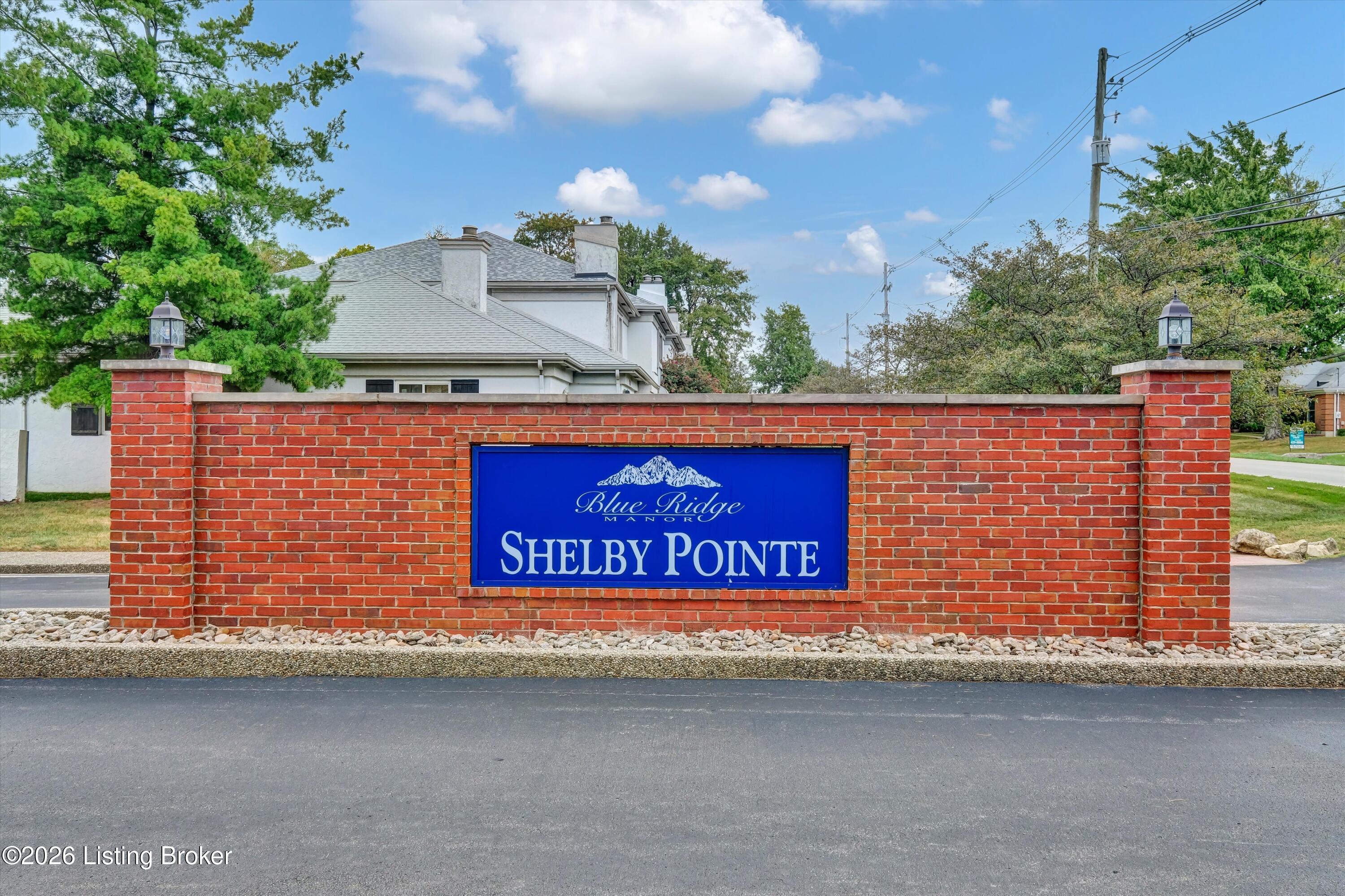 107 Shelby Pointe Dr Property Photo 38